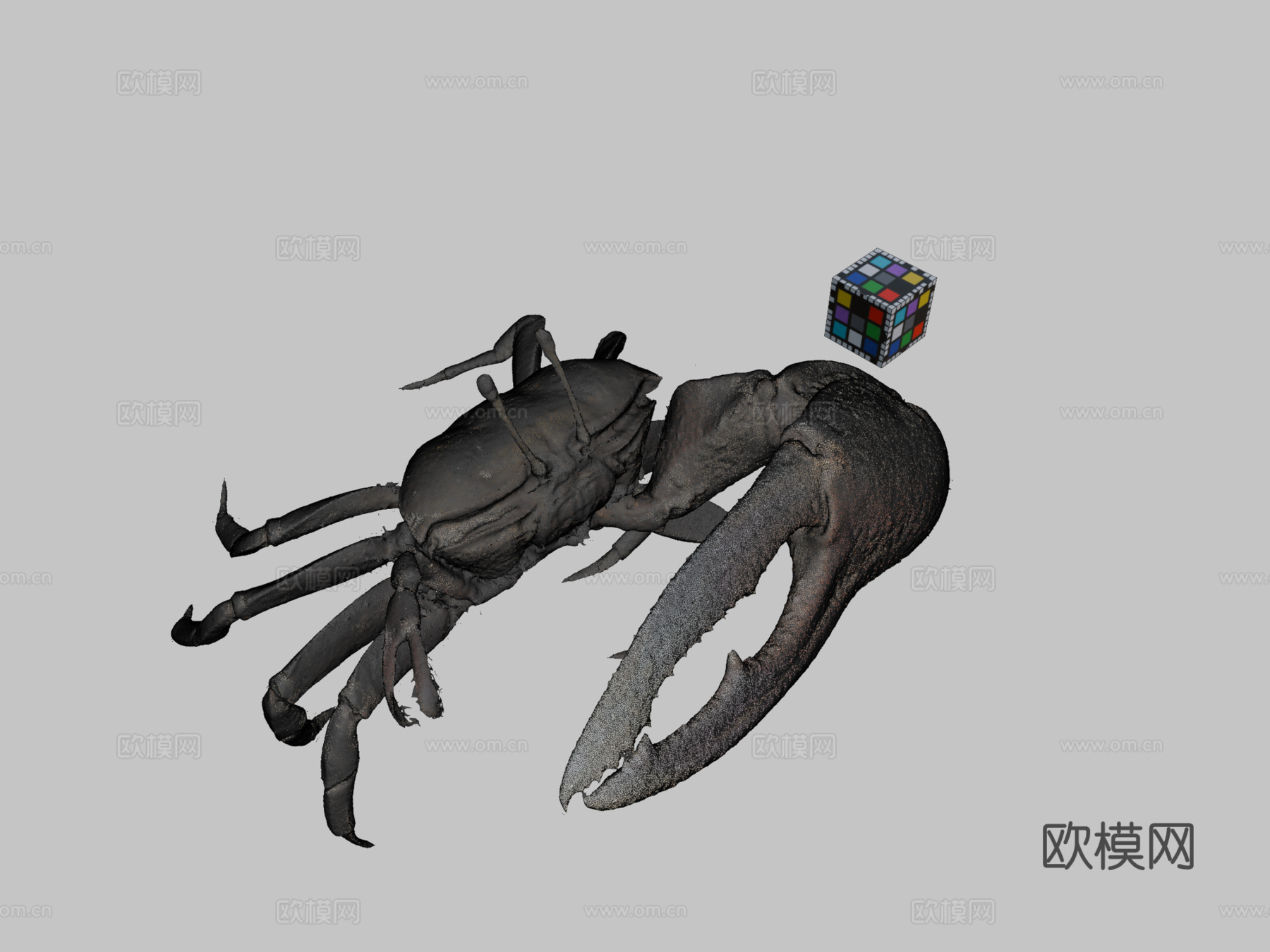 CC0弧边招潮蟹♂弧边招潮蟹3d模型