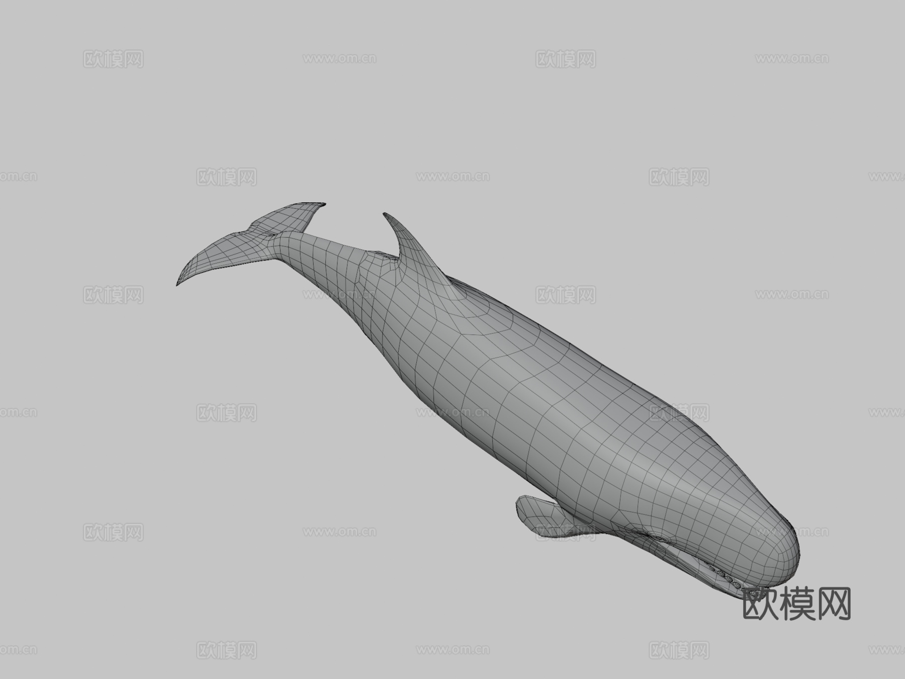 利维坦鲸3d模型