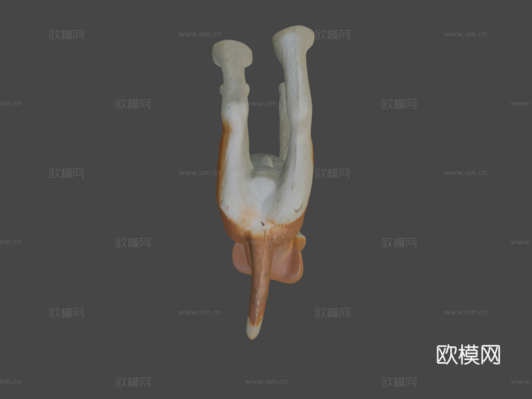 塑料玩具狗-原始扫描(安德烈·斯波涅塔(斯波尼亚))3d模型