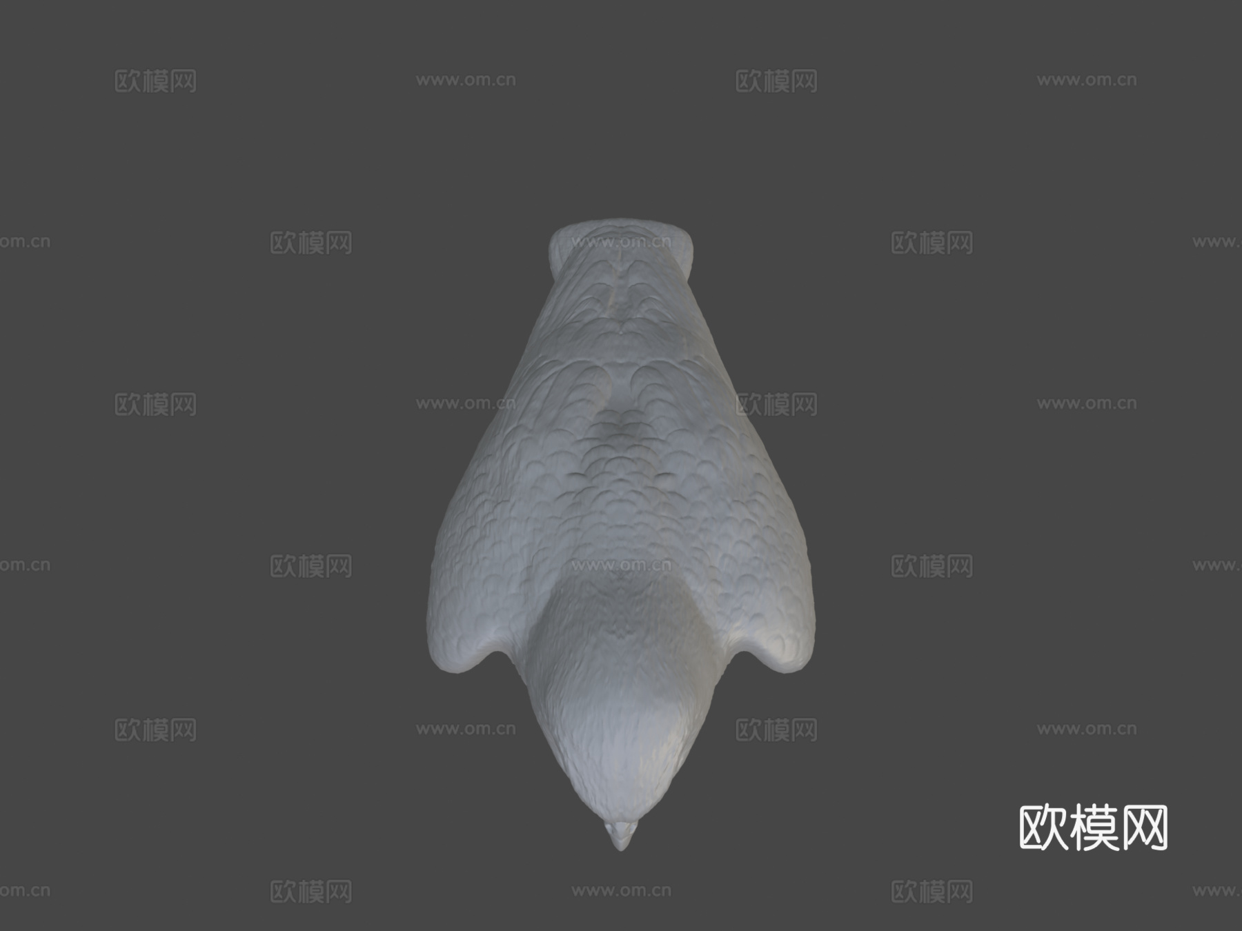 D模型猎鹰鸟3d模型