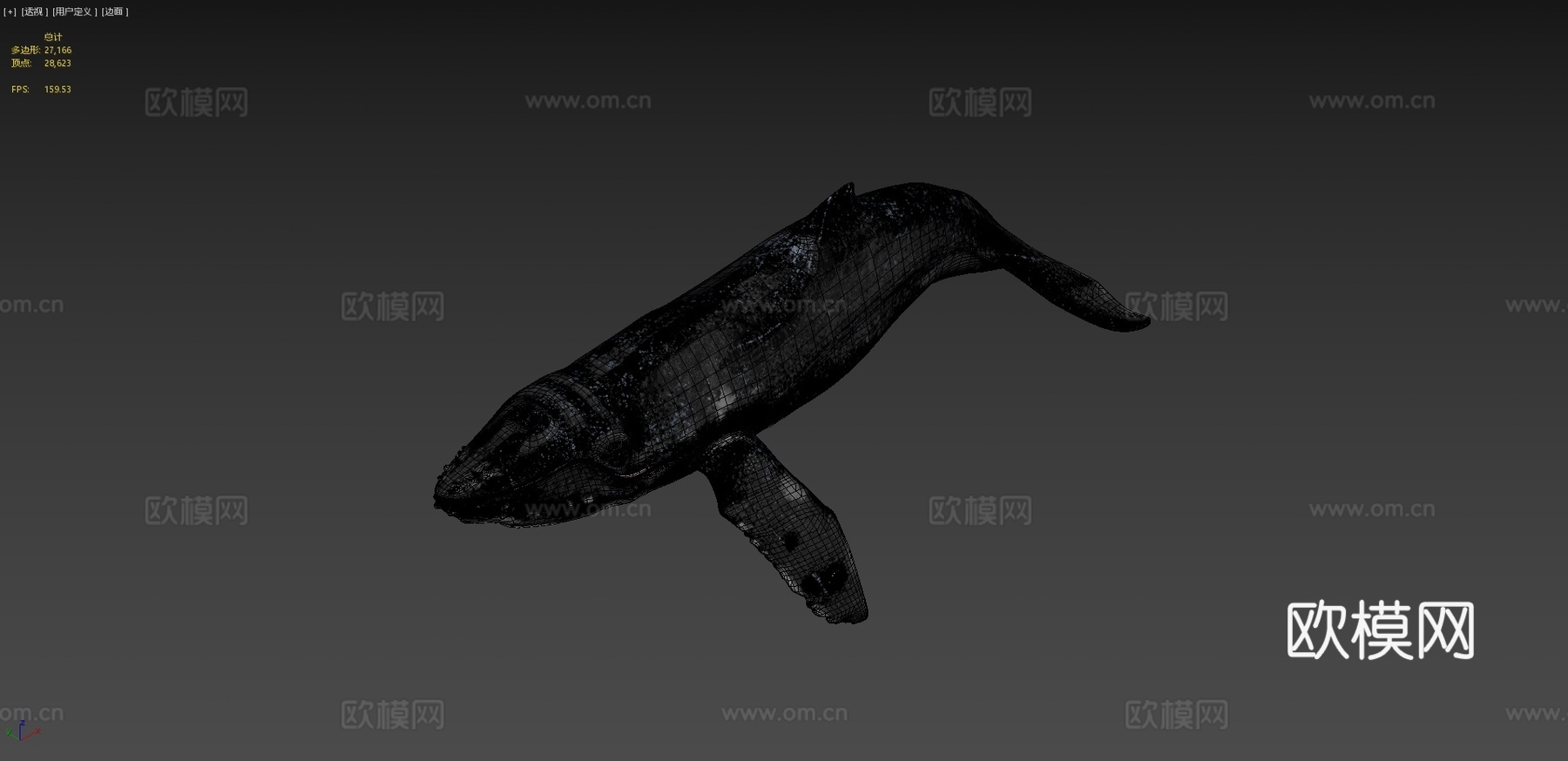 高多边形座头鲸3d模型