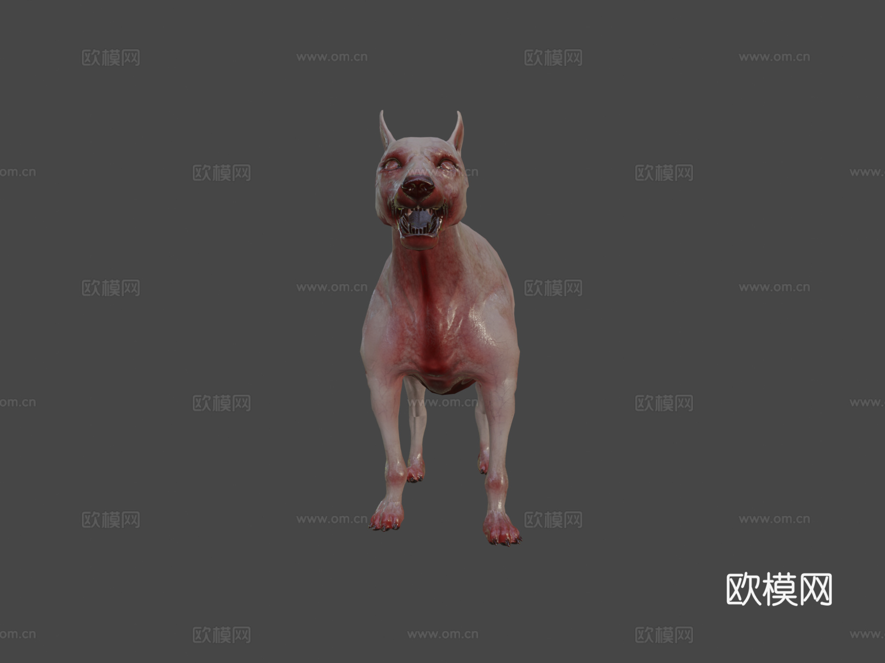 战斗犬3d模型