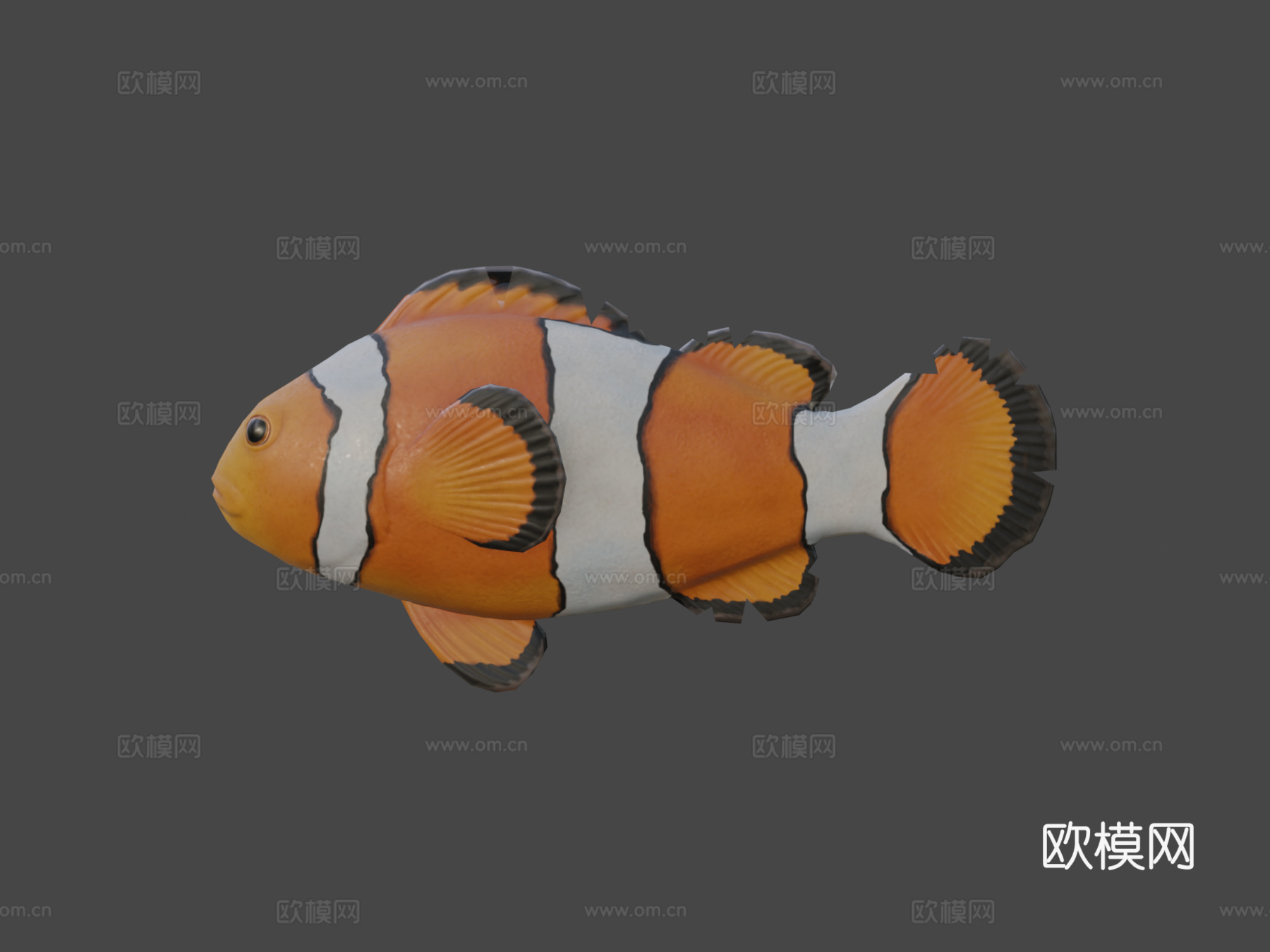 小丑鱼3d模型