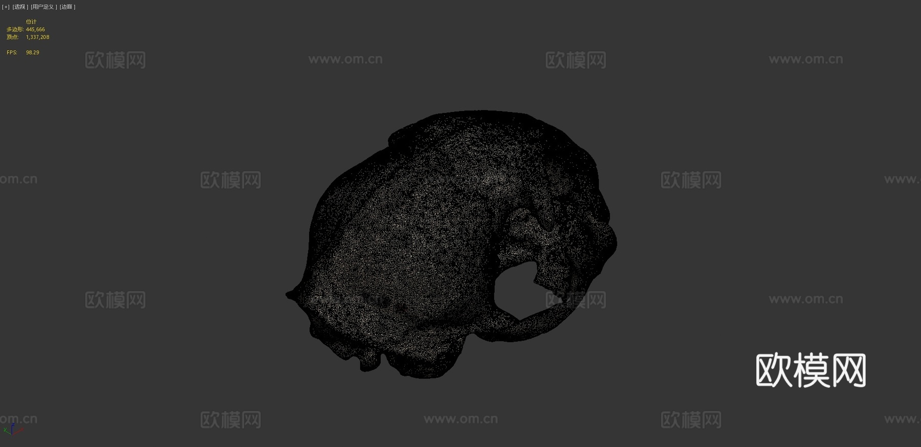 山猫头骨3d模型