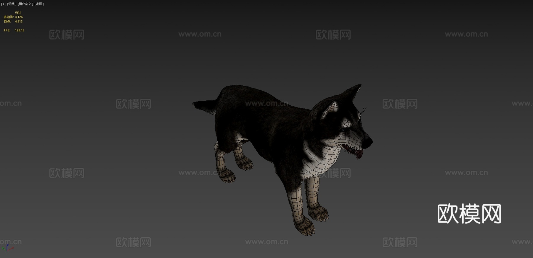 狗-哈士奇3d模型