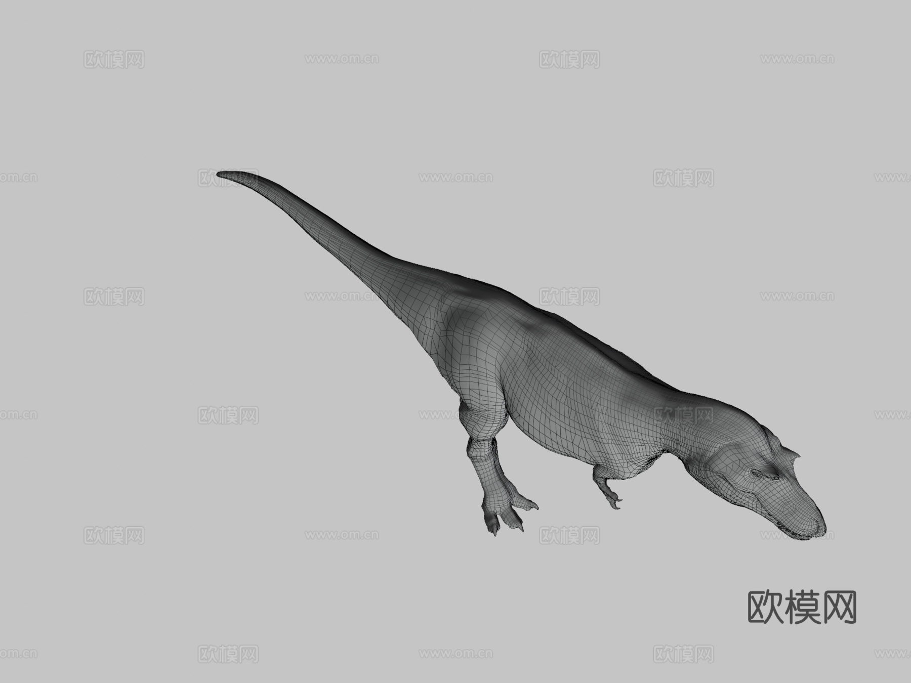 阿尔伯塔龙3d模型