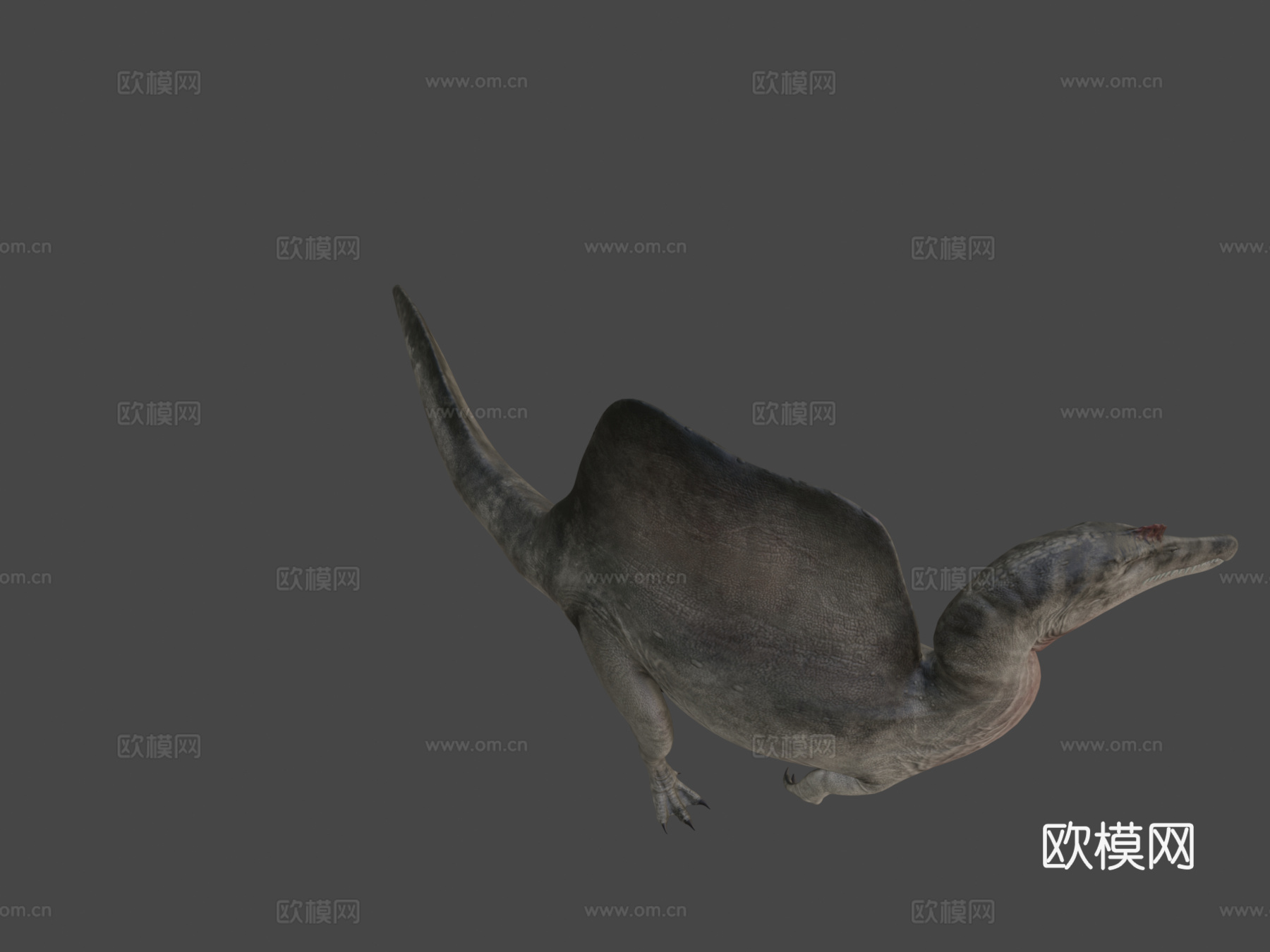 埃及棘龙3d模型