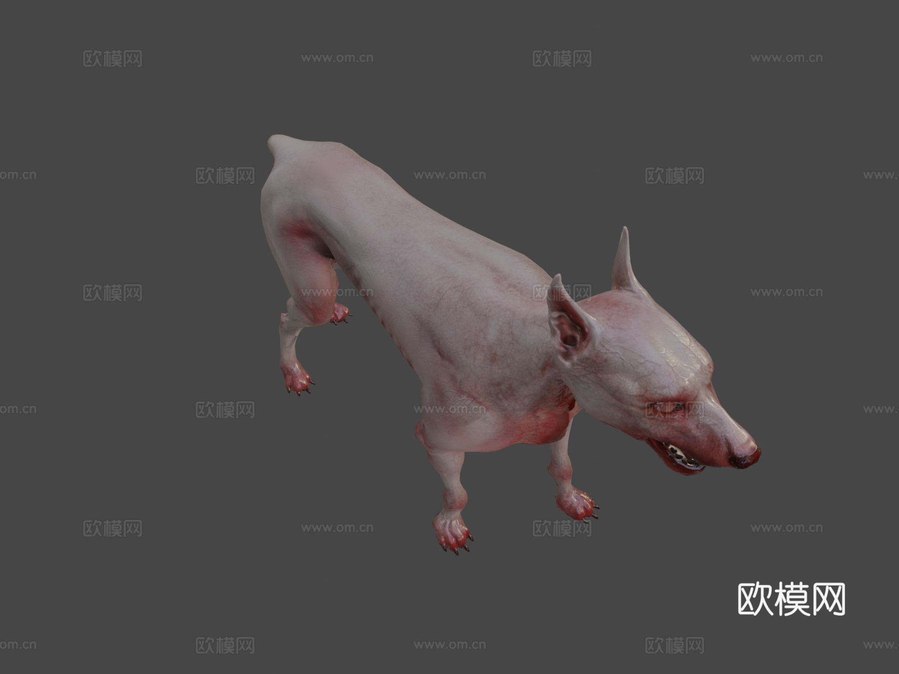 战斗犬3d模型