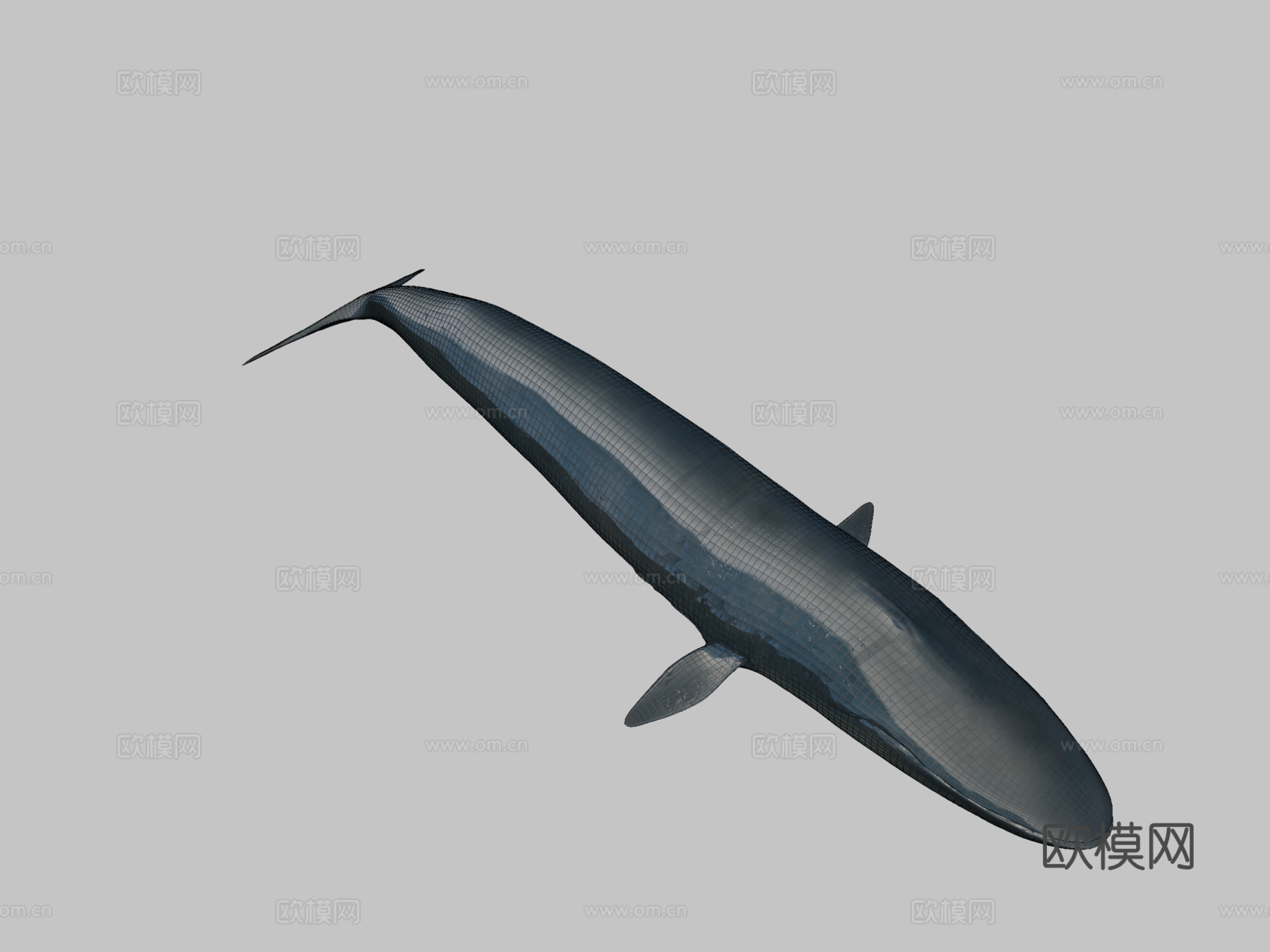 蓝鲸su模型下载（渲染图2）