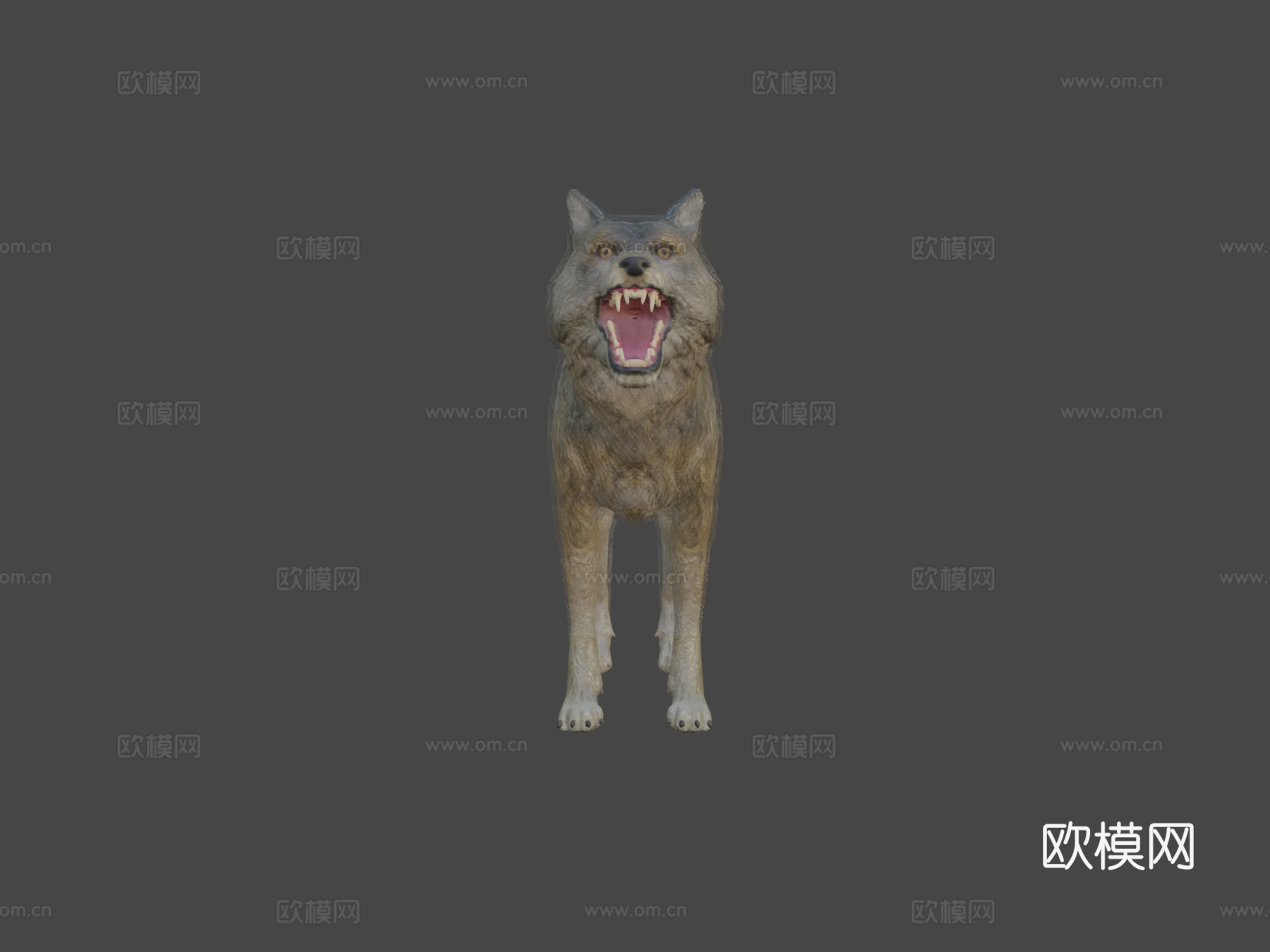 狼动画su模型