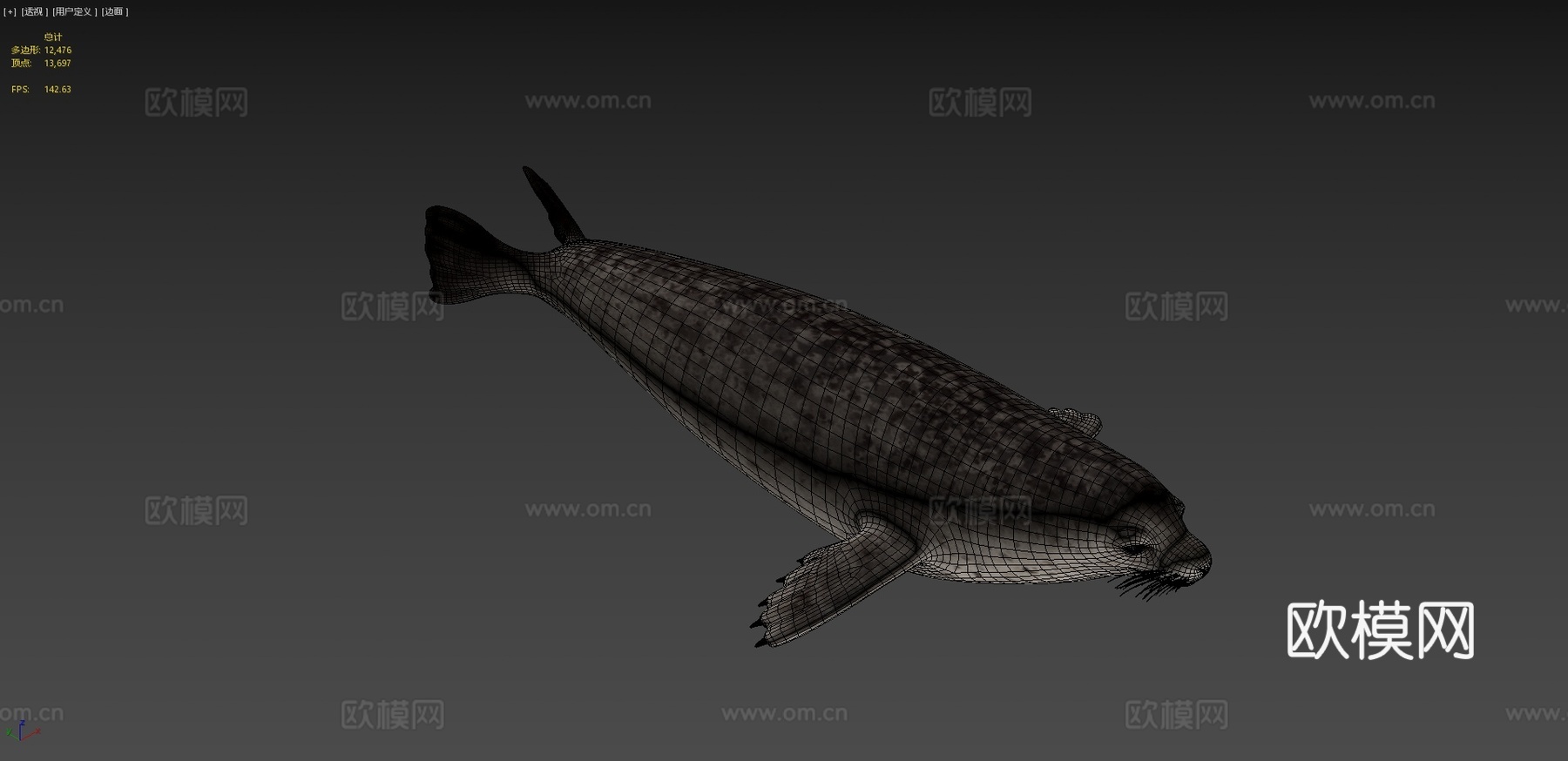 港海豹(斑海豹)3d模型