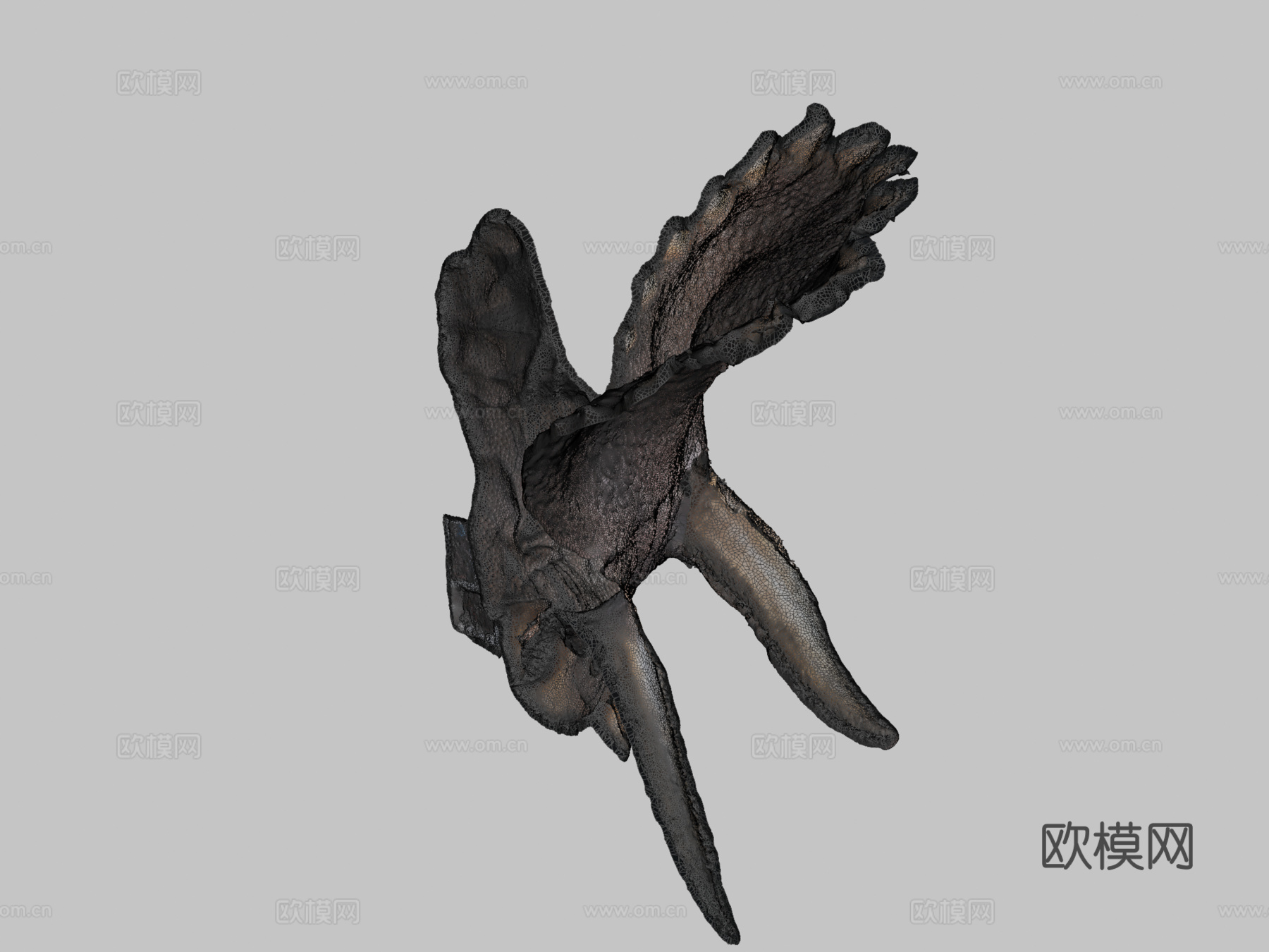《侏罗纪公园》电影中的三角龙头3d模型