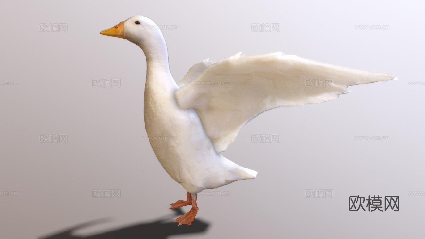 鸭子3d模型