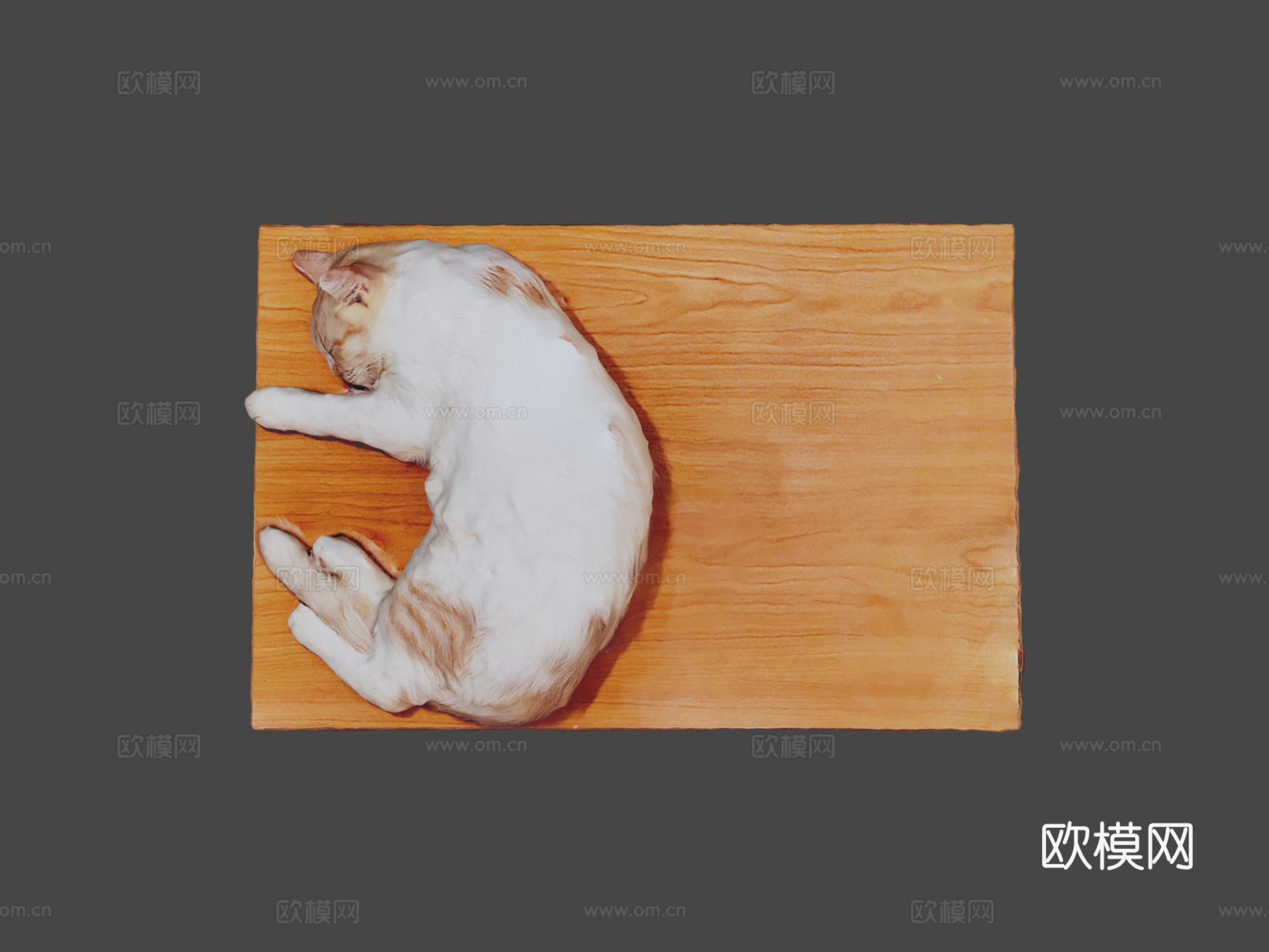 猫咪比比3d模型