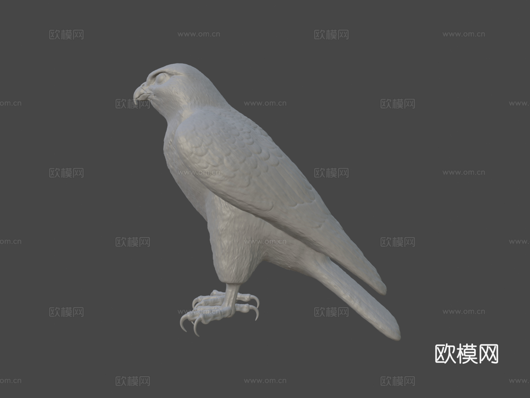 D模型猎鹰鸟3d模型
