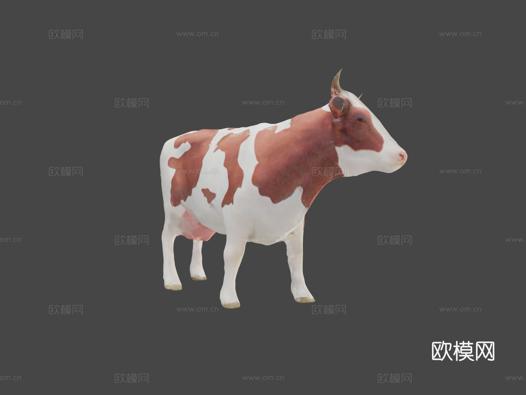 扫描奶牛3d模型