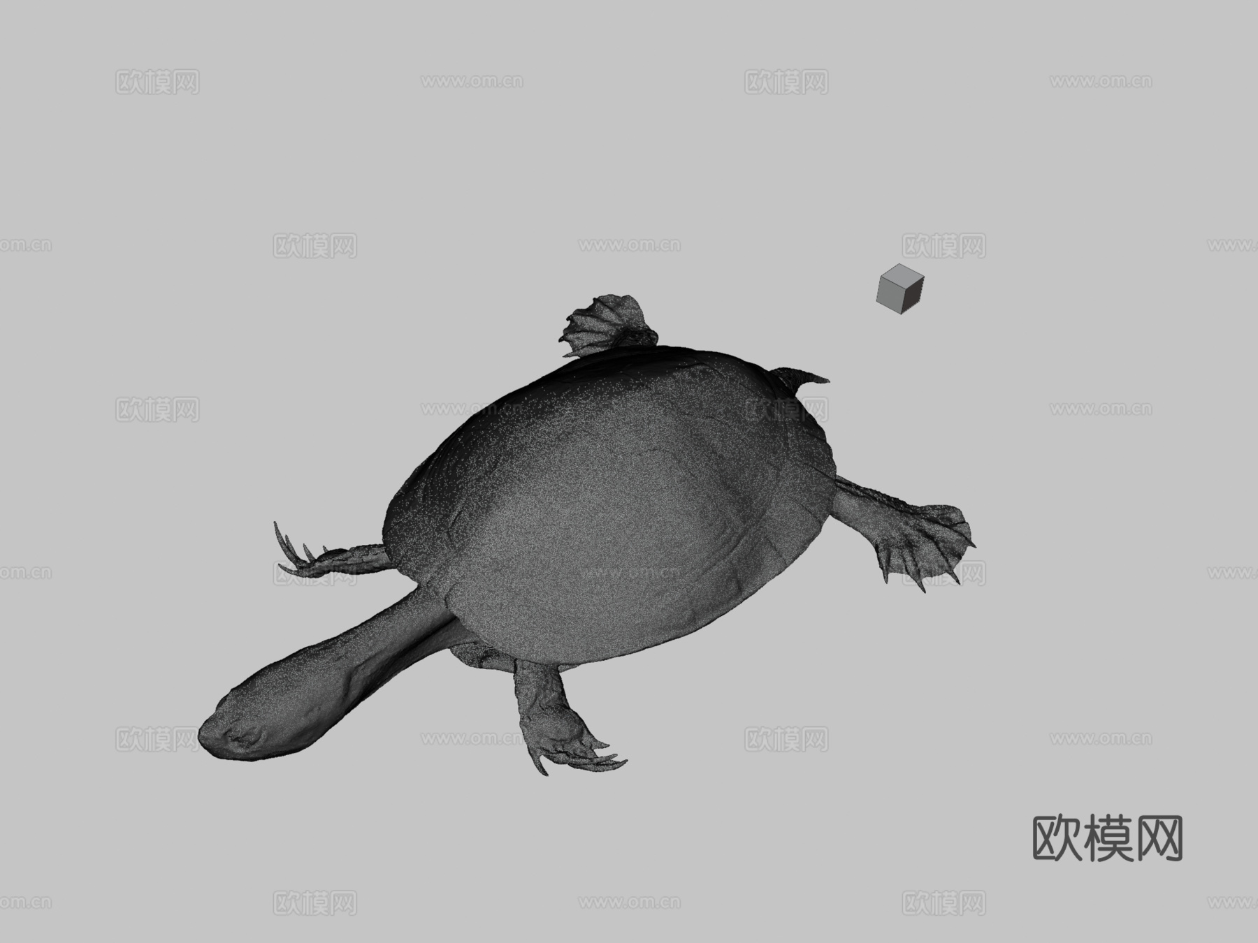 CC0密西西比红耳龟♂红耳滑龟3d模型