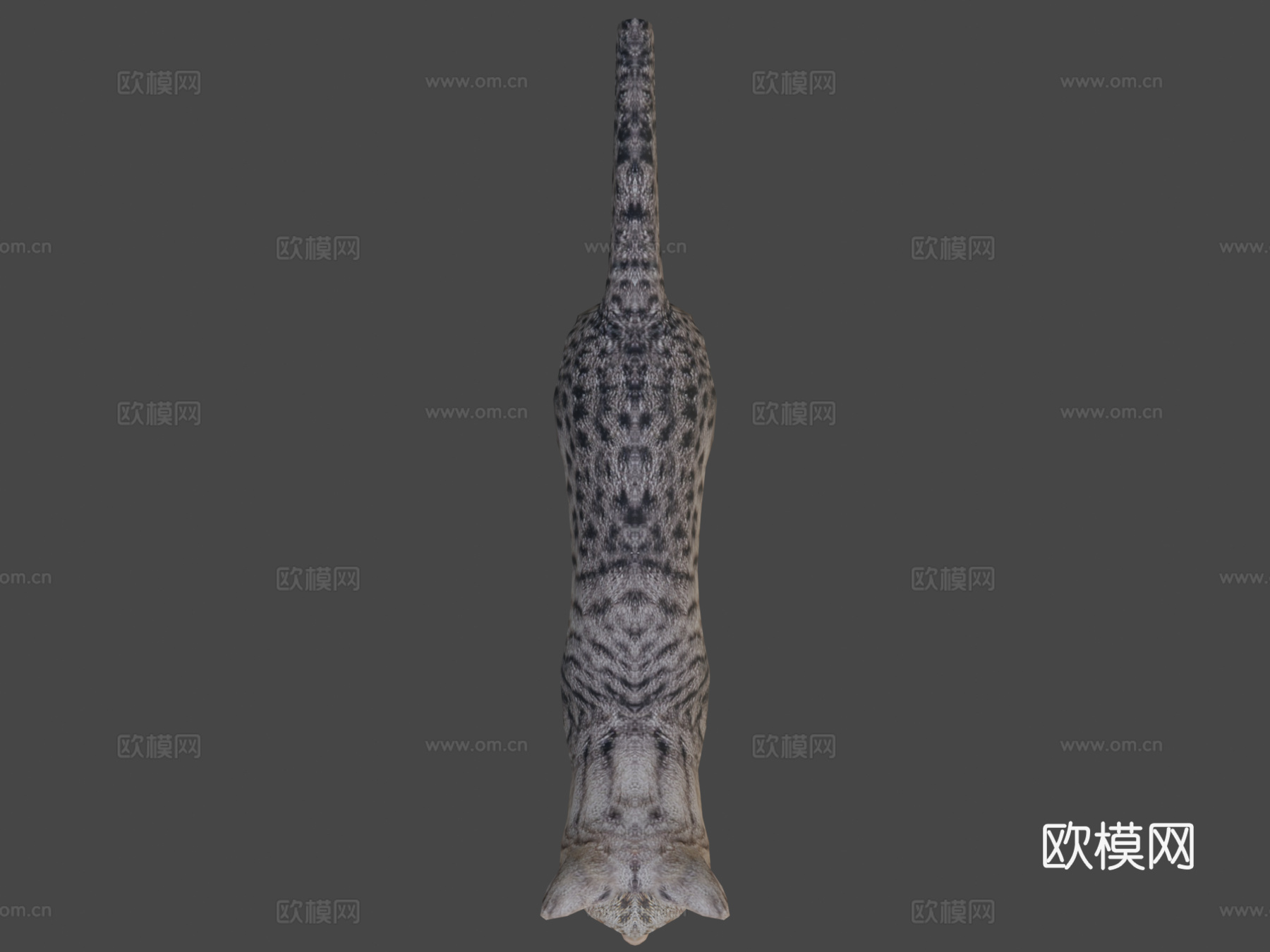 DRT-家养动物-猫3d模型