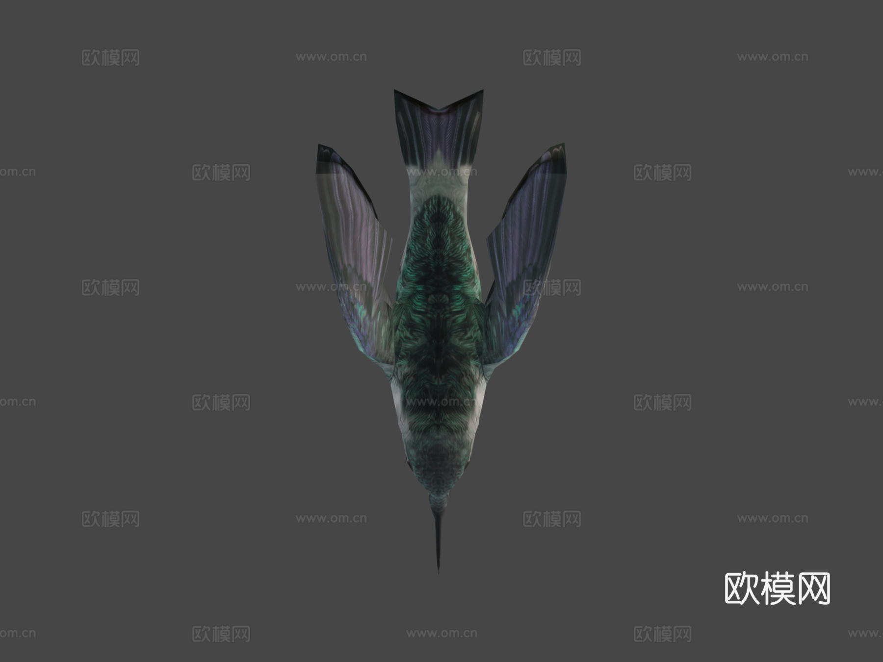 蜂鸟3d模型