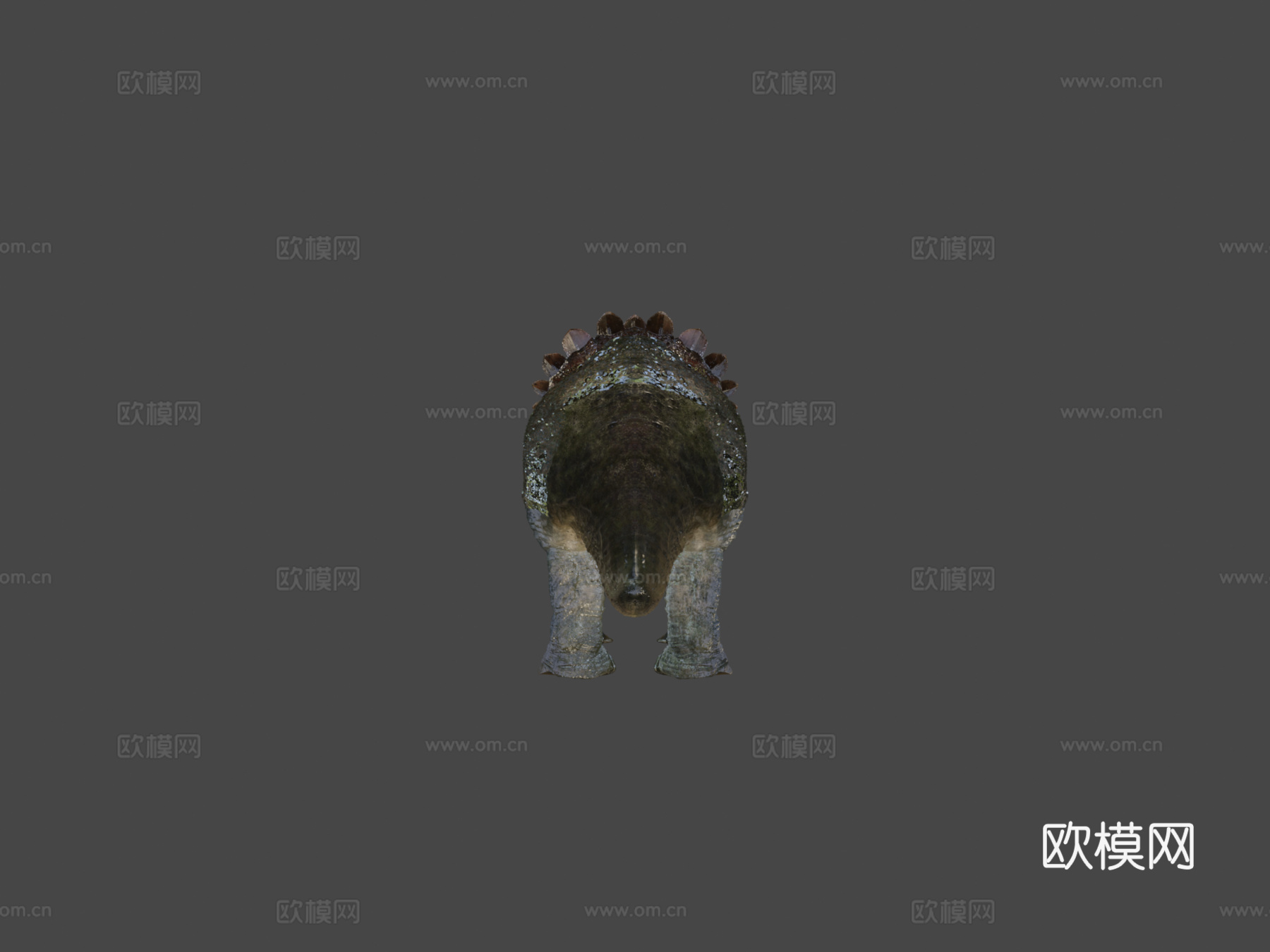 帝王角龙3d模型