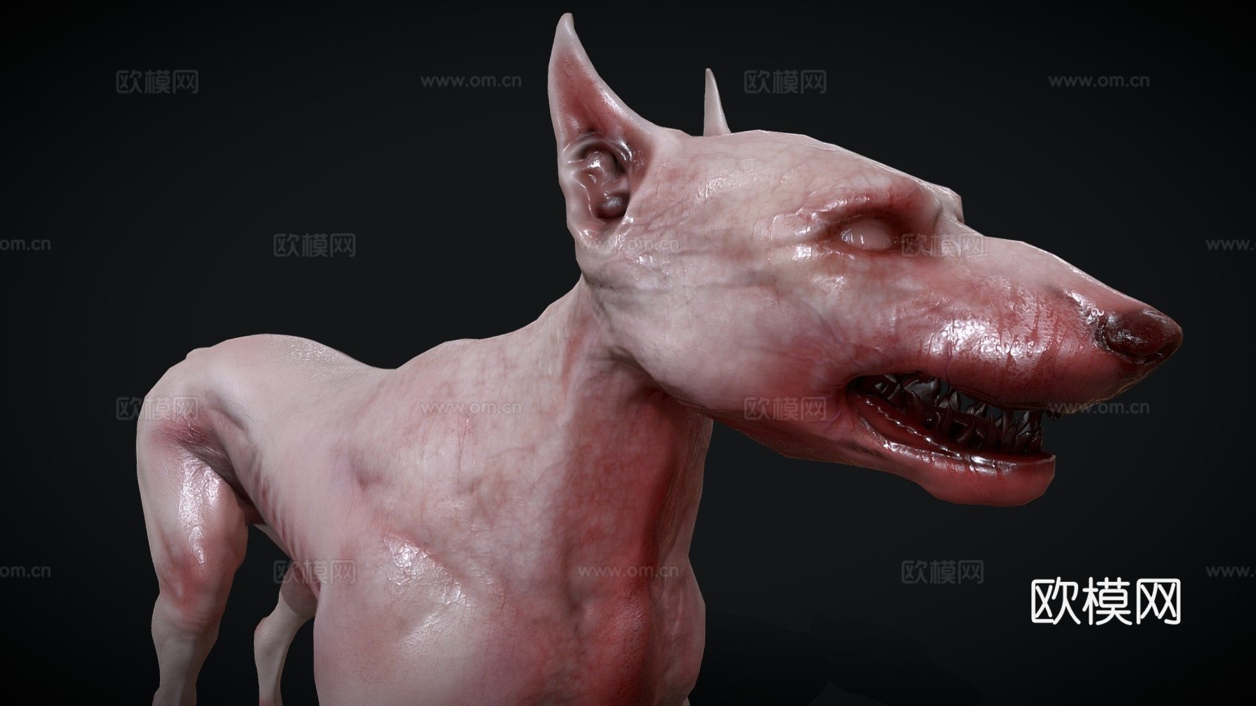 战斗犬3d模型