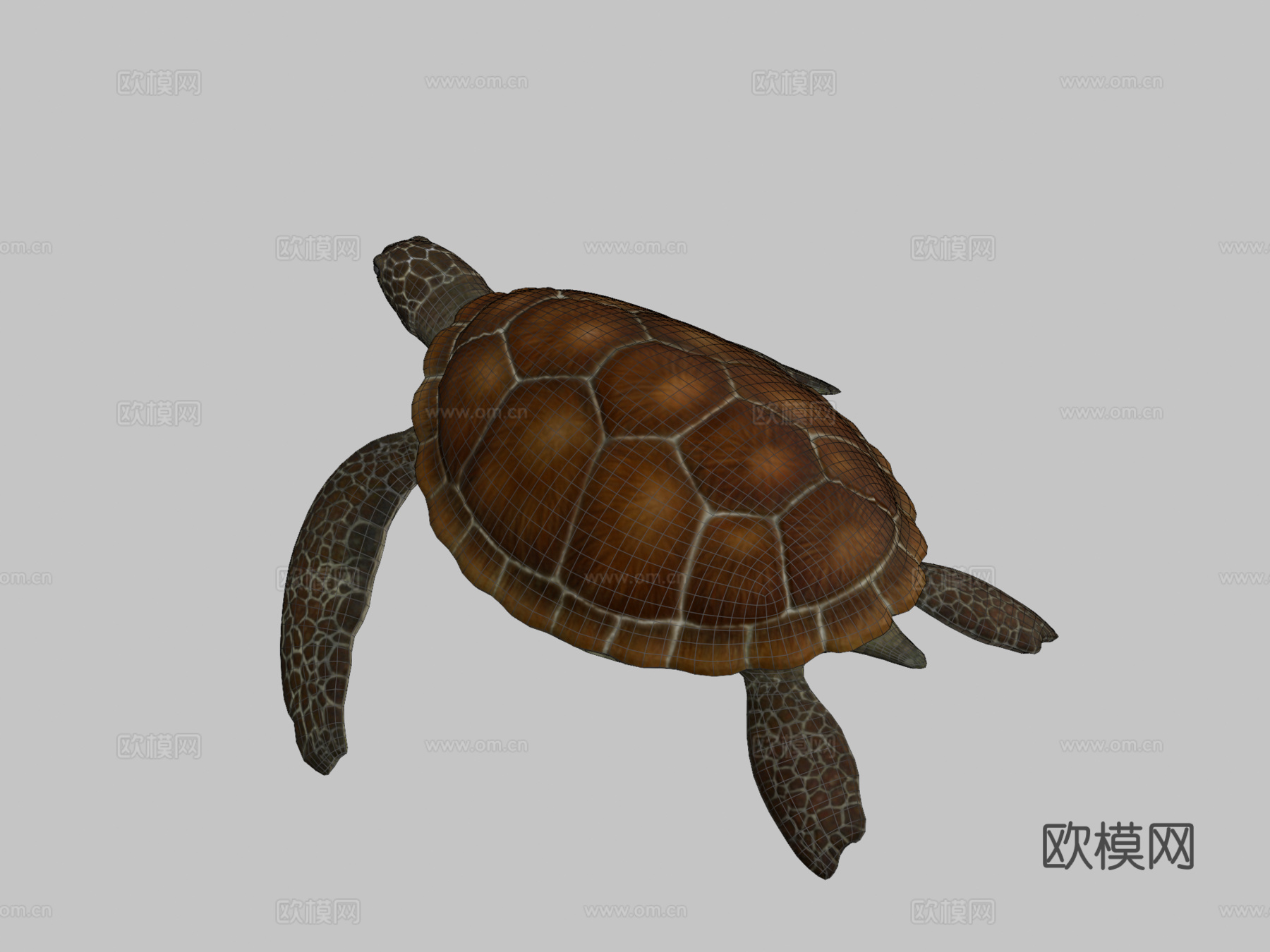 海龟低多边形3d模型