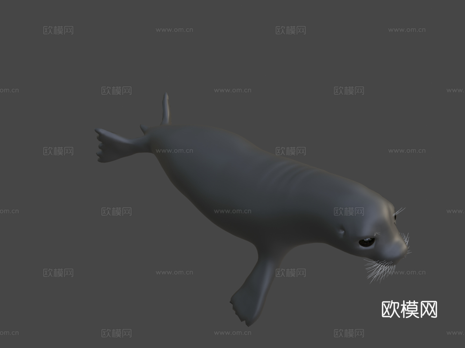普通海豹3d模型