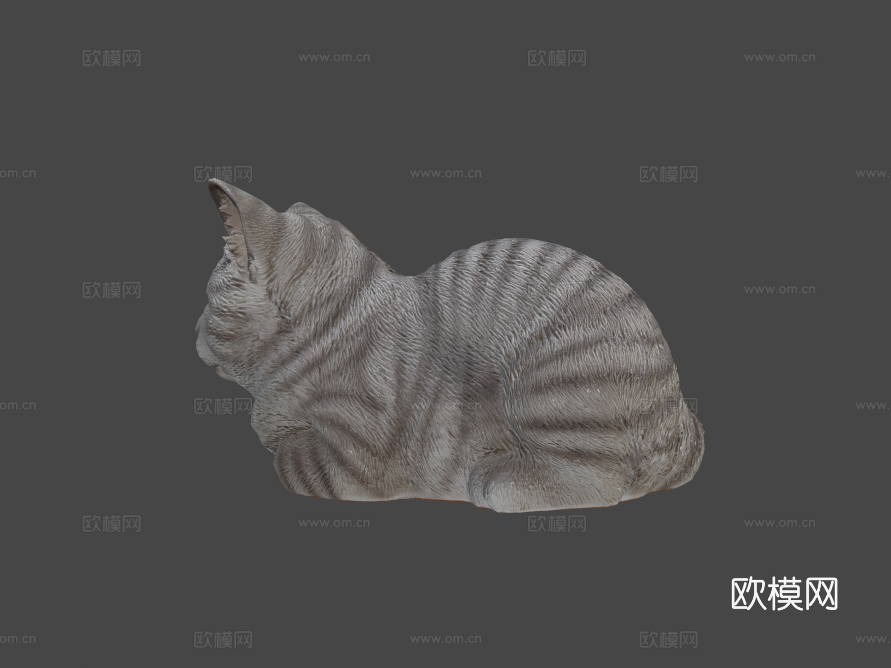 打盹猫3d模型
