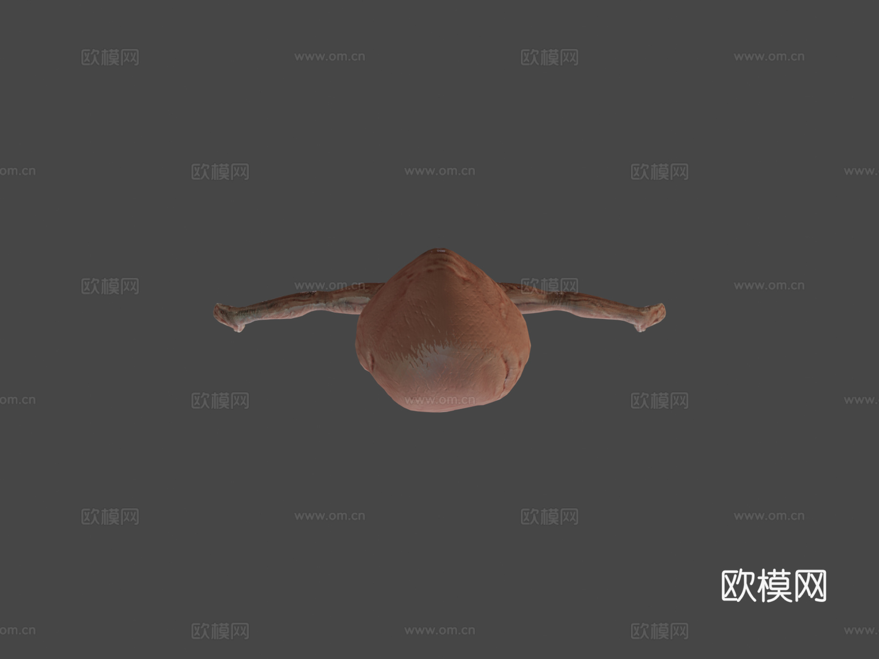 我信赖的孩子3d模型