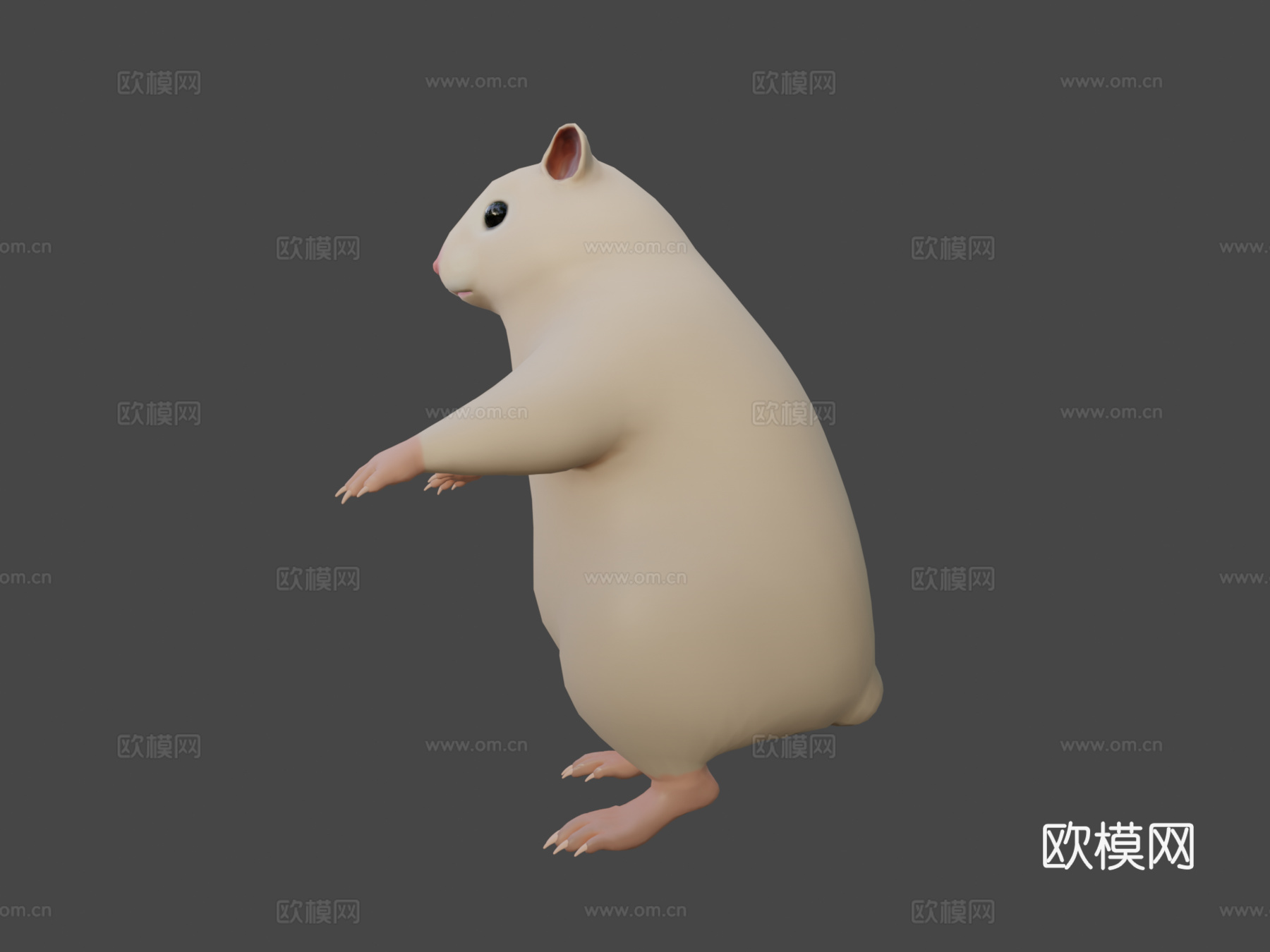 仓鼠3d模型下载（渲染图6）