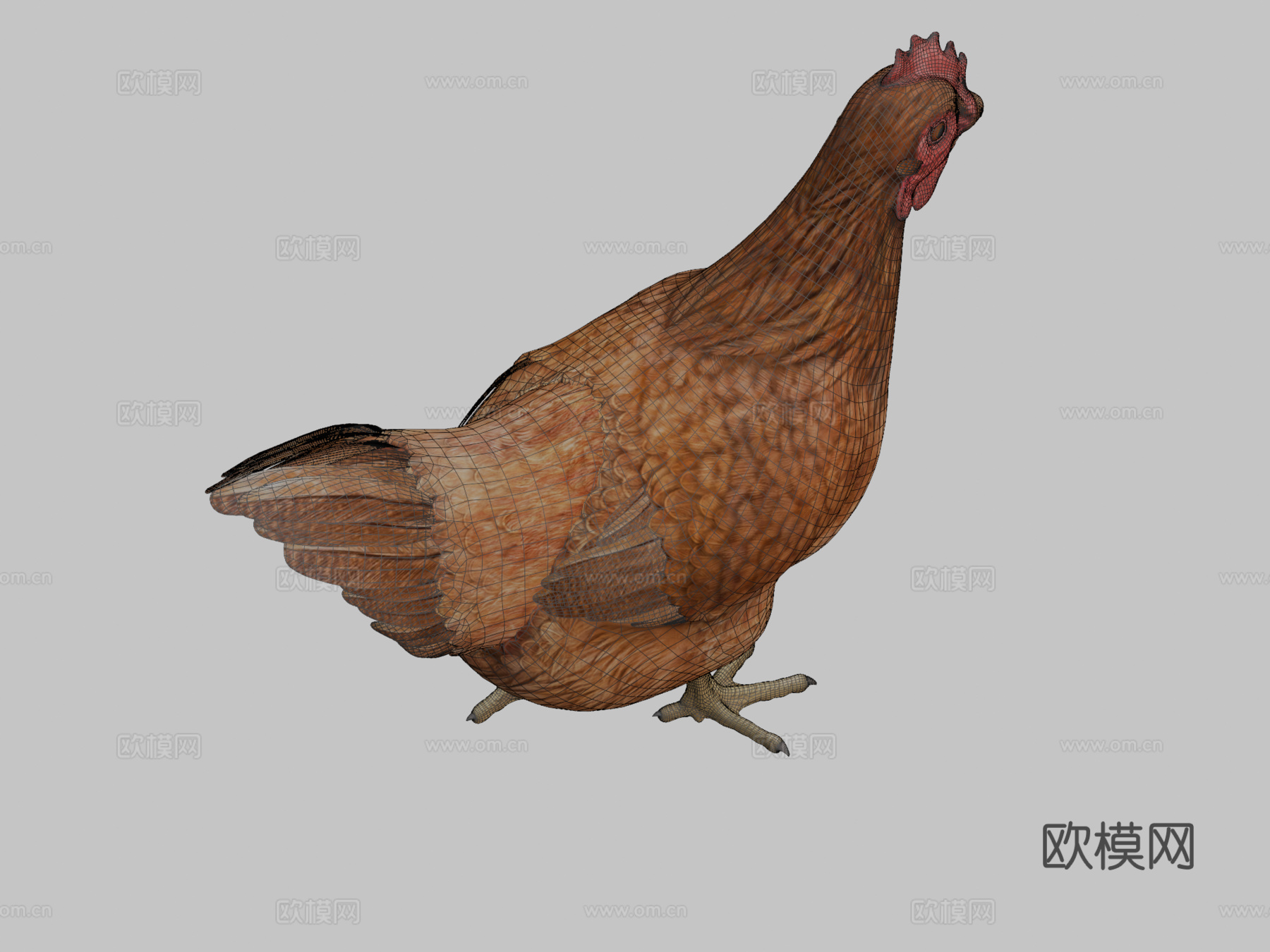 鸡su模型