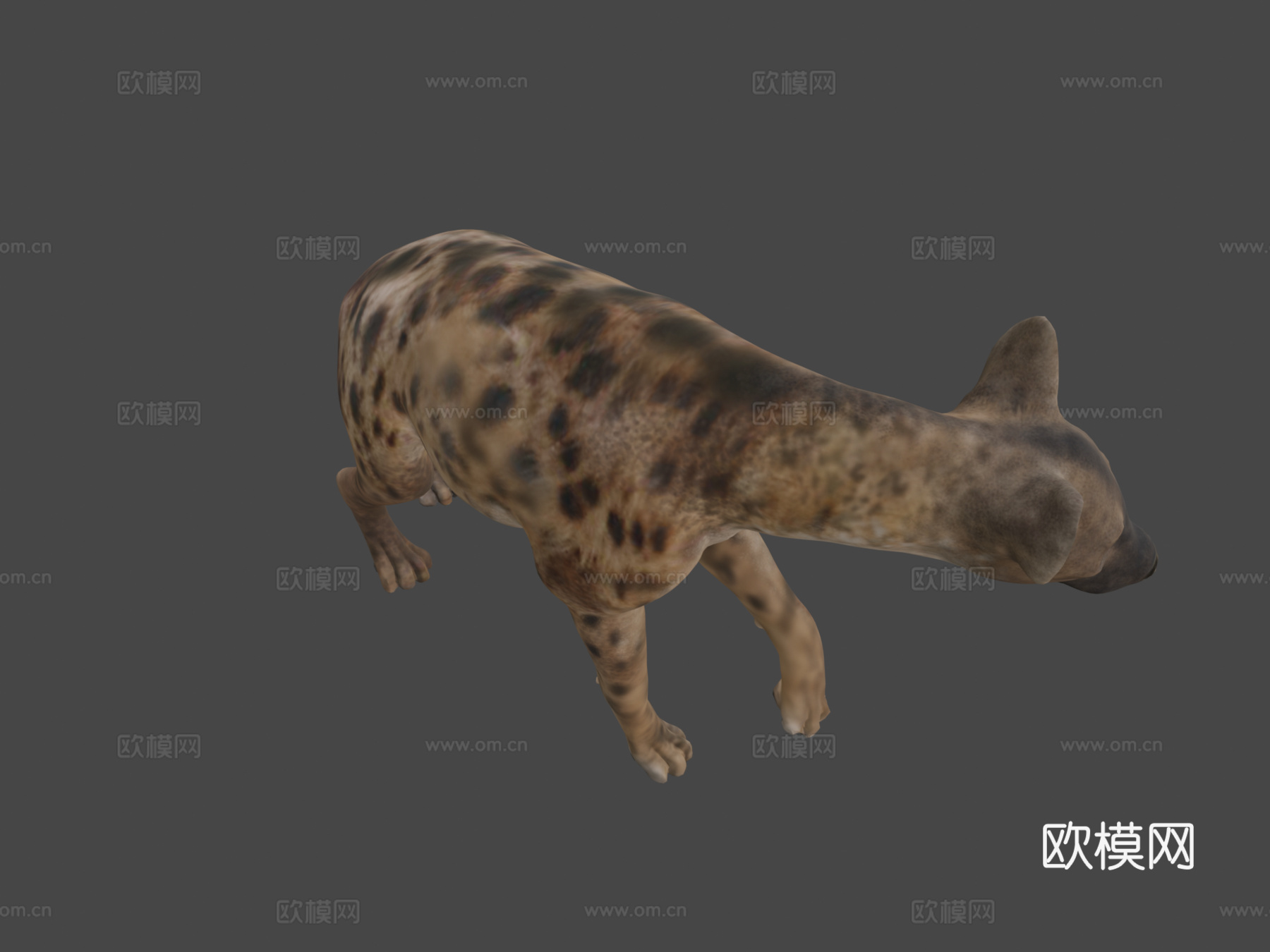 鬣狗3d模型