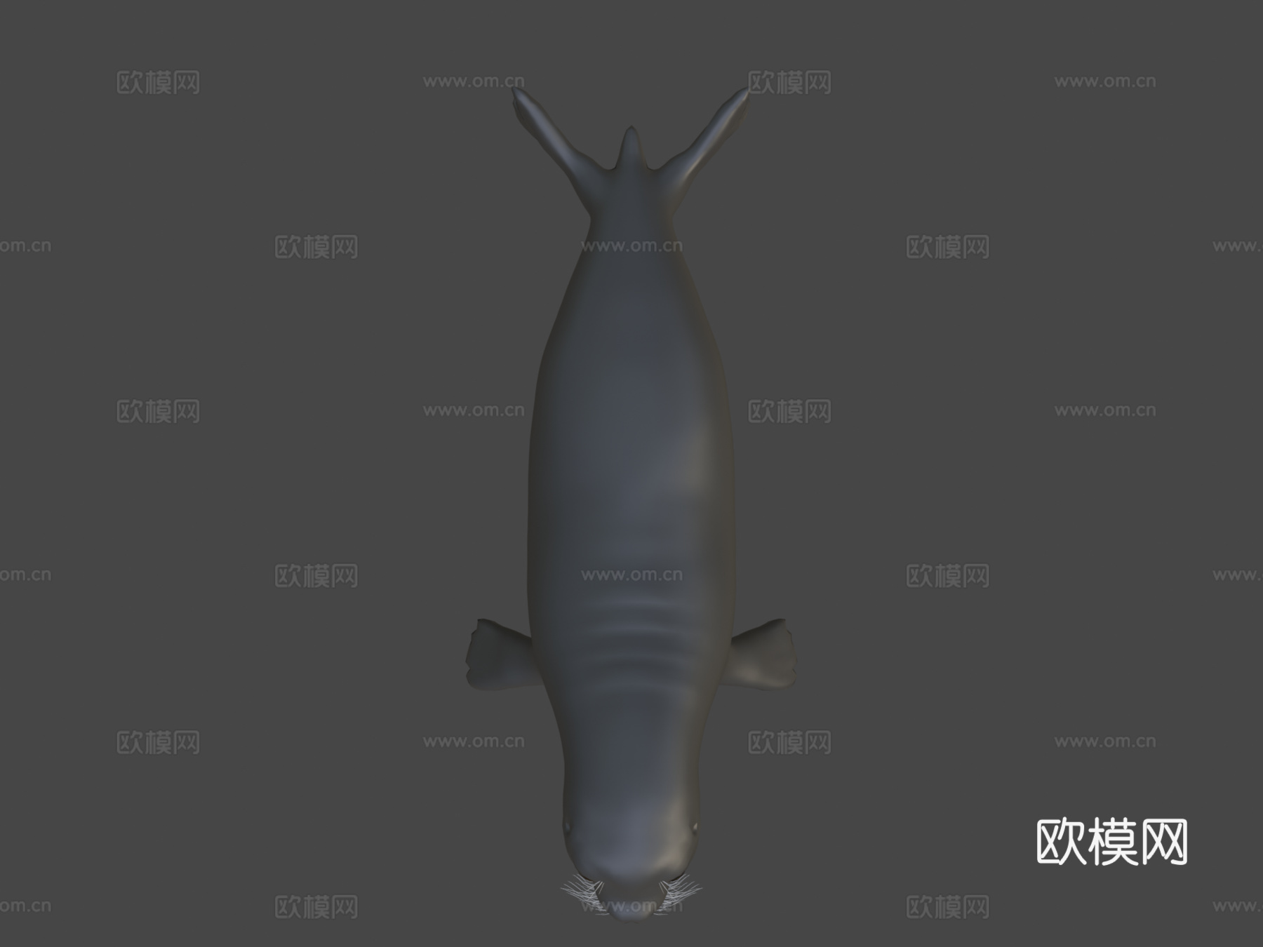 普通海豹3d模型