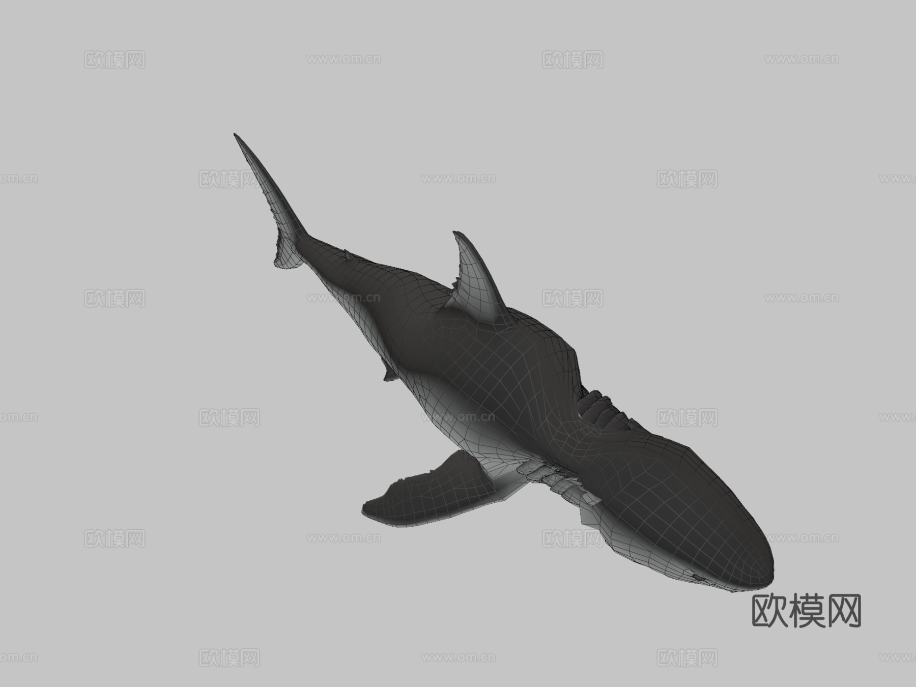 巨齿鲨3d模型