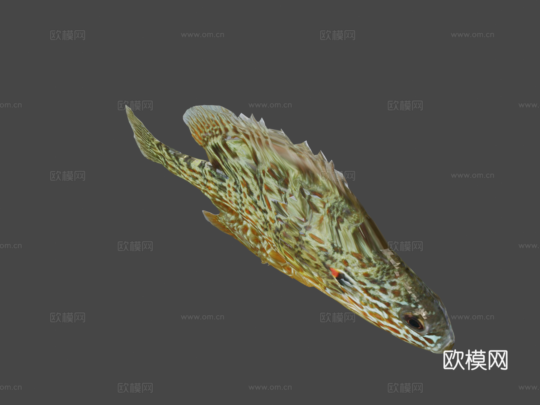 模型38-南瓜籽太阳鱼3d模型