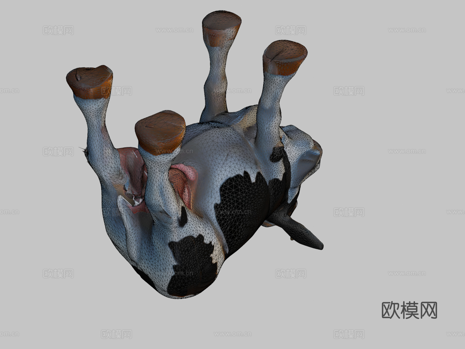 卡通奶牛3d模型