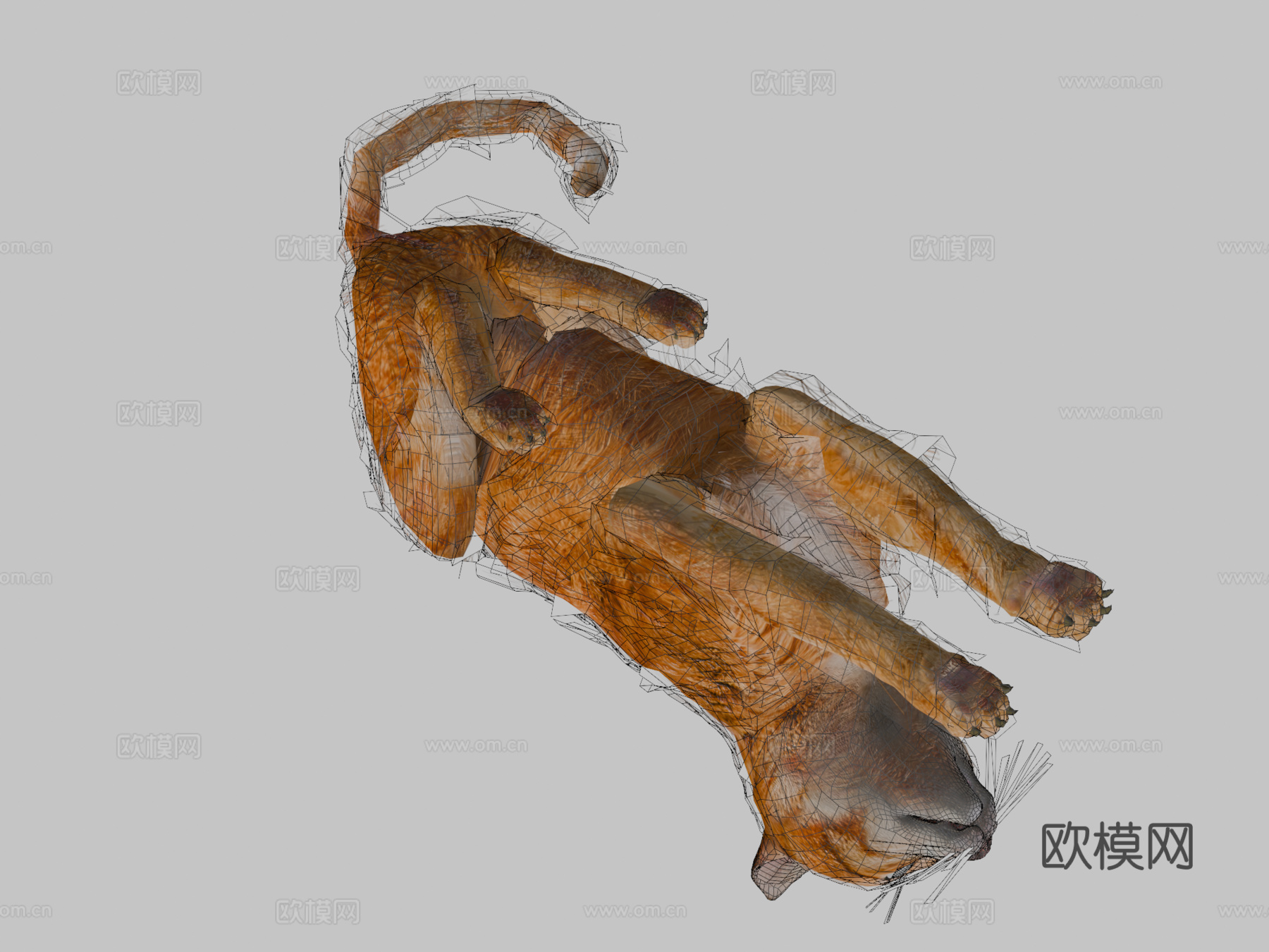橙色动画猫3d模型