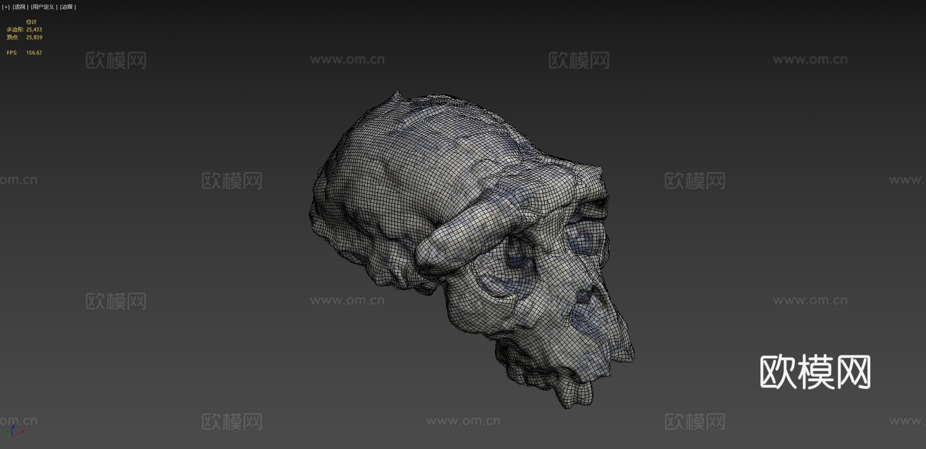 乍得沙赫人-头骨化石3d模型