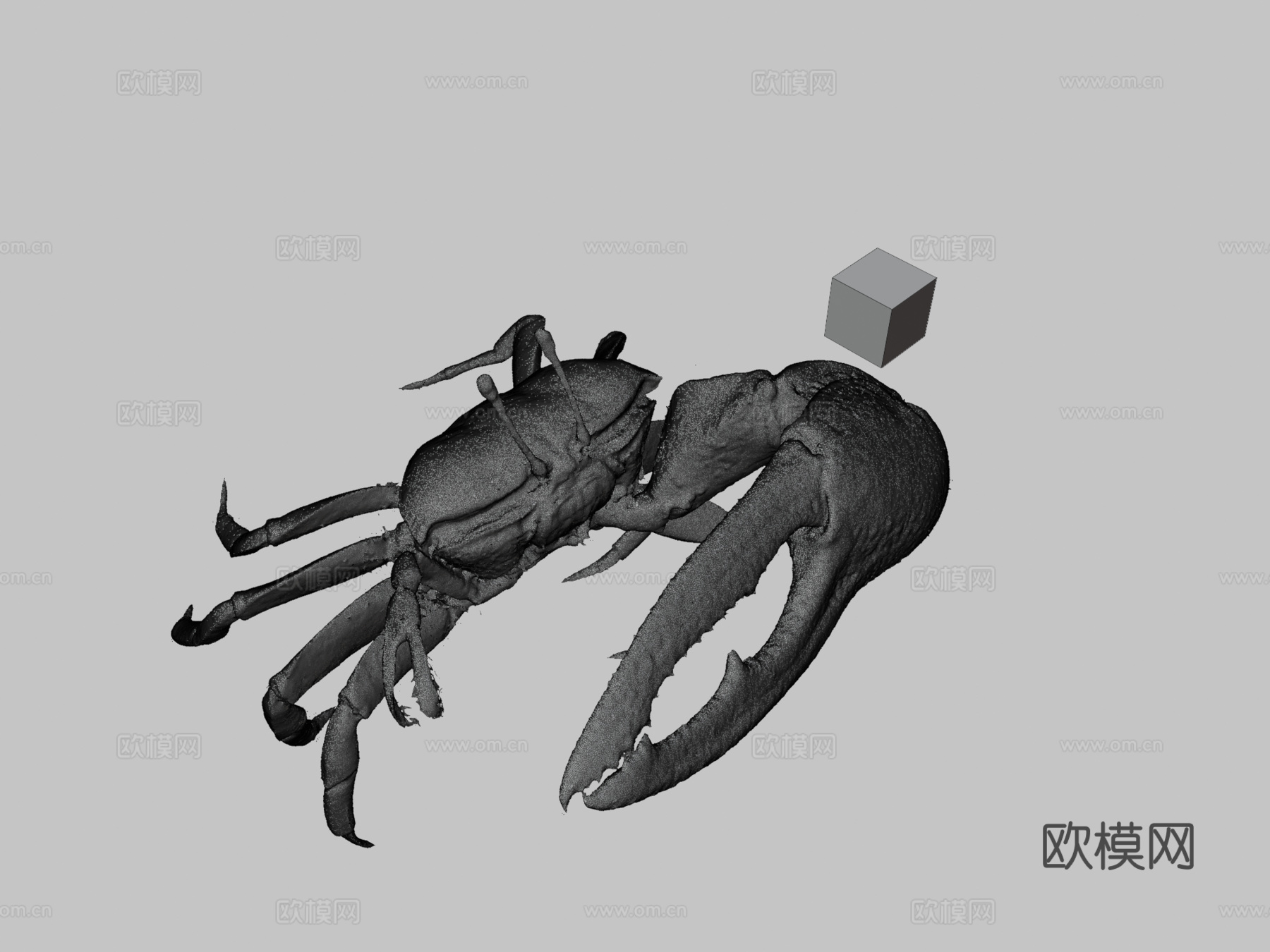 CC0弧边招潮蟹♂弧边招潮蟹3d模型
