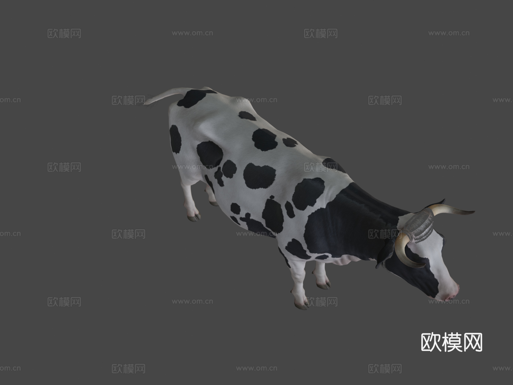 奶牛动画第二版3d模型