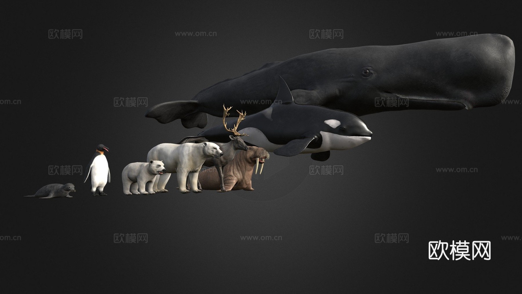北极动物包3d模型