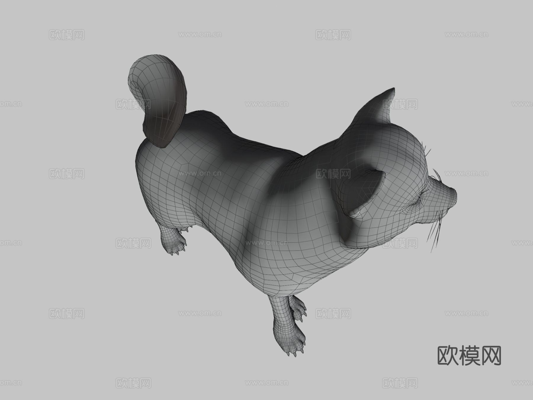 动画狗，柴犬su模型