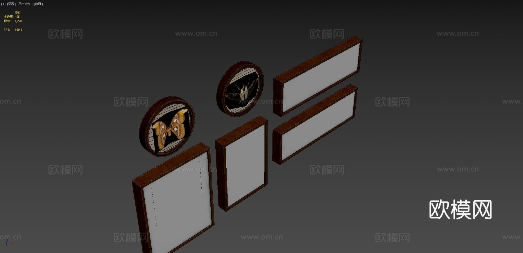 昆虫学图片3d模型