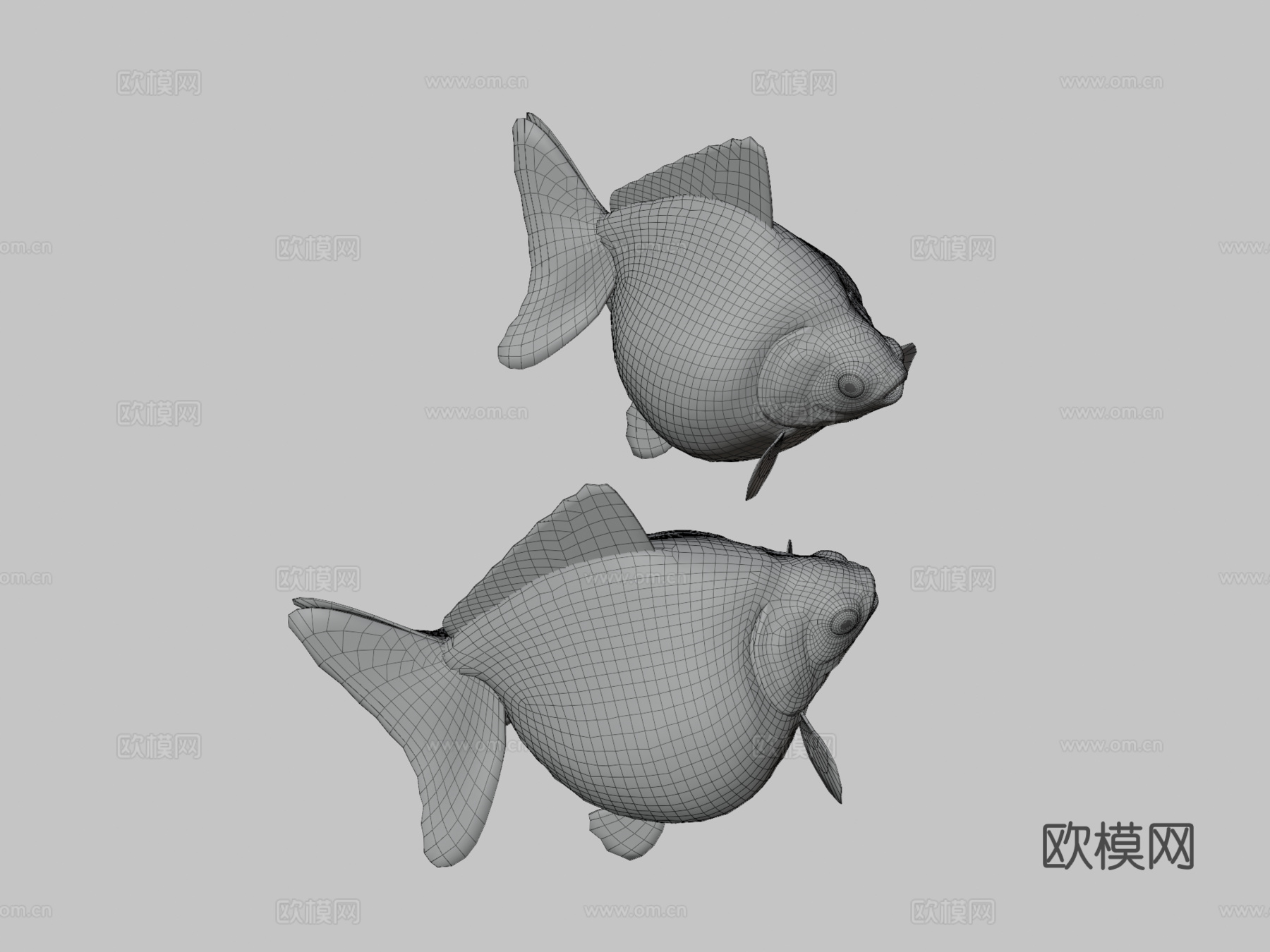 珍珠鳞金鱼3d模型