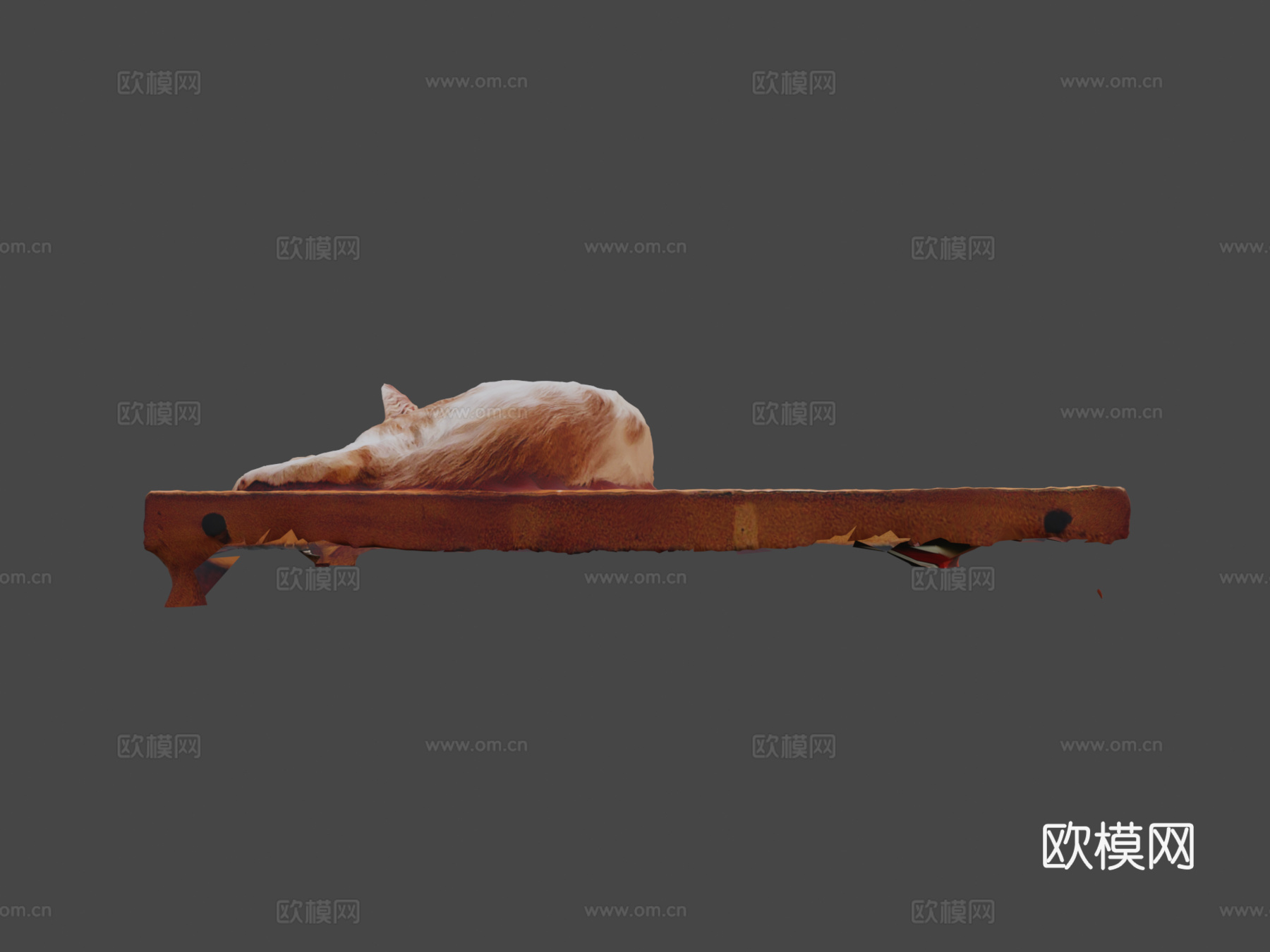 猫咪比比3d模型