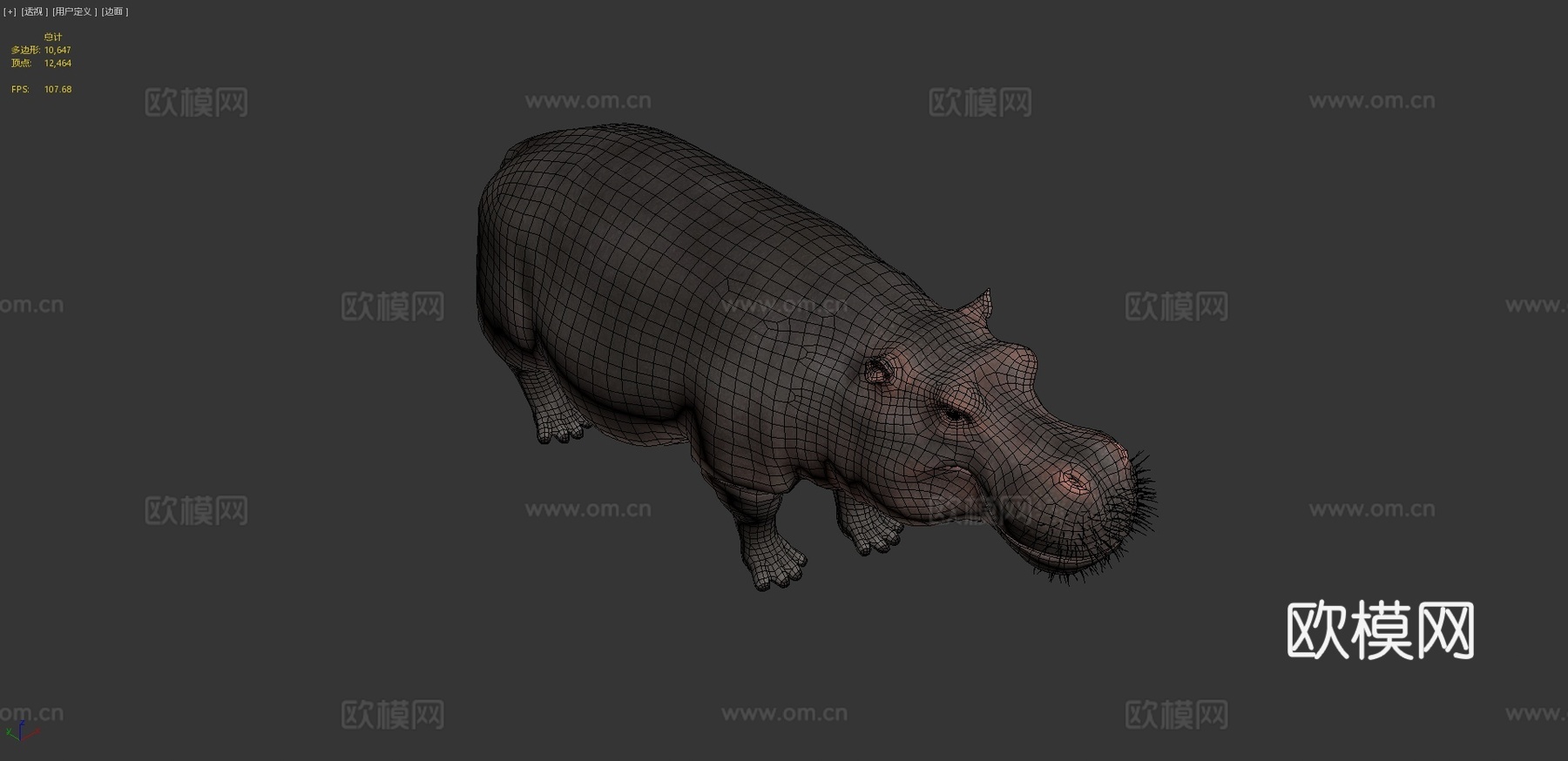 河马3d模型