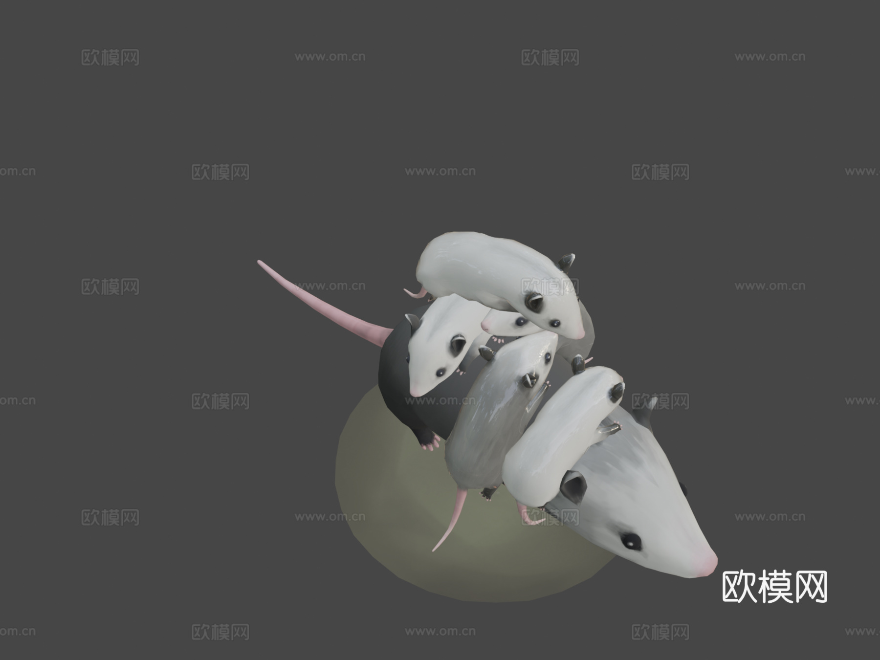 负鼠妈妈3d模型
