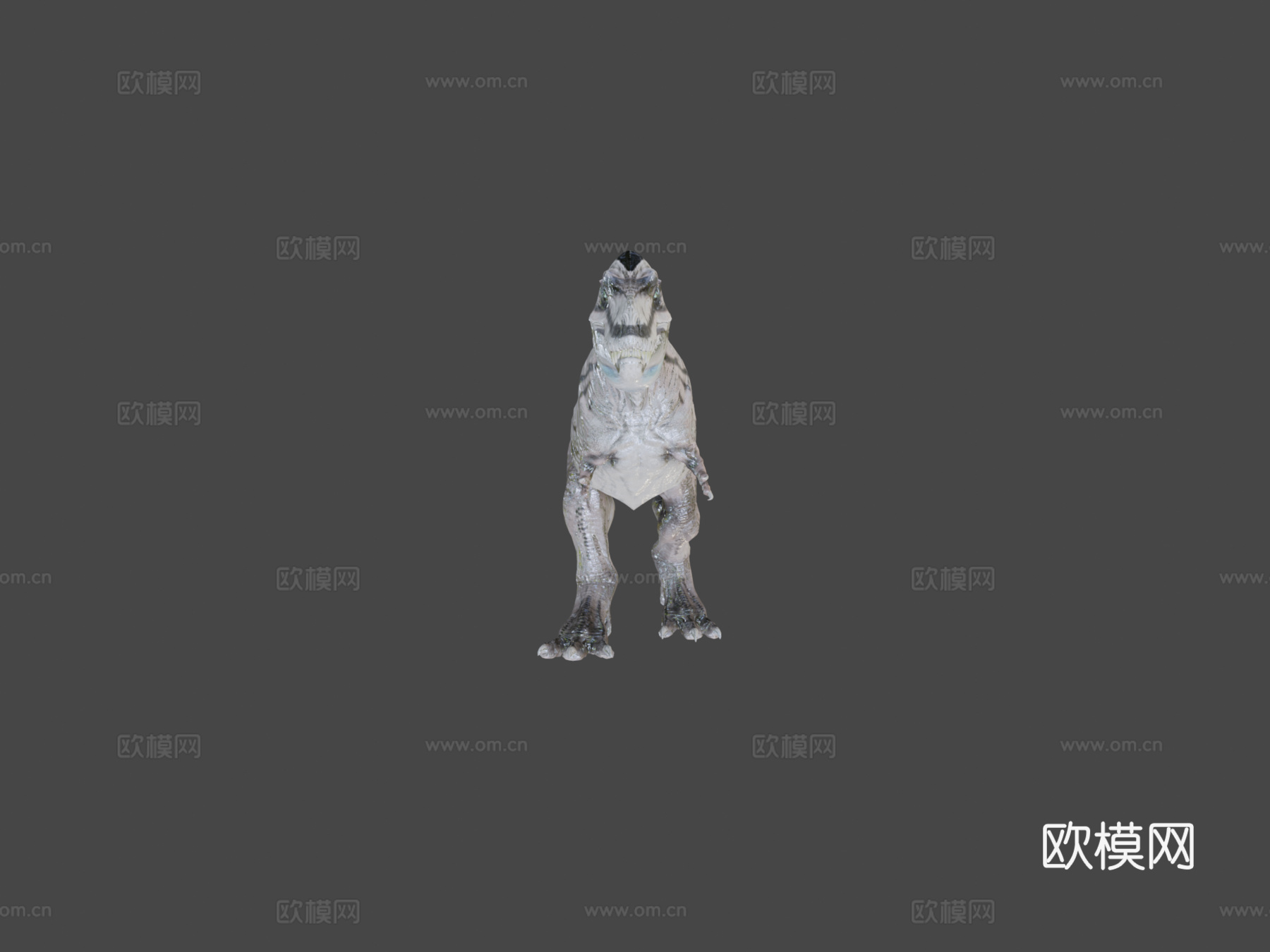 阿尔伯塔龙3d模型