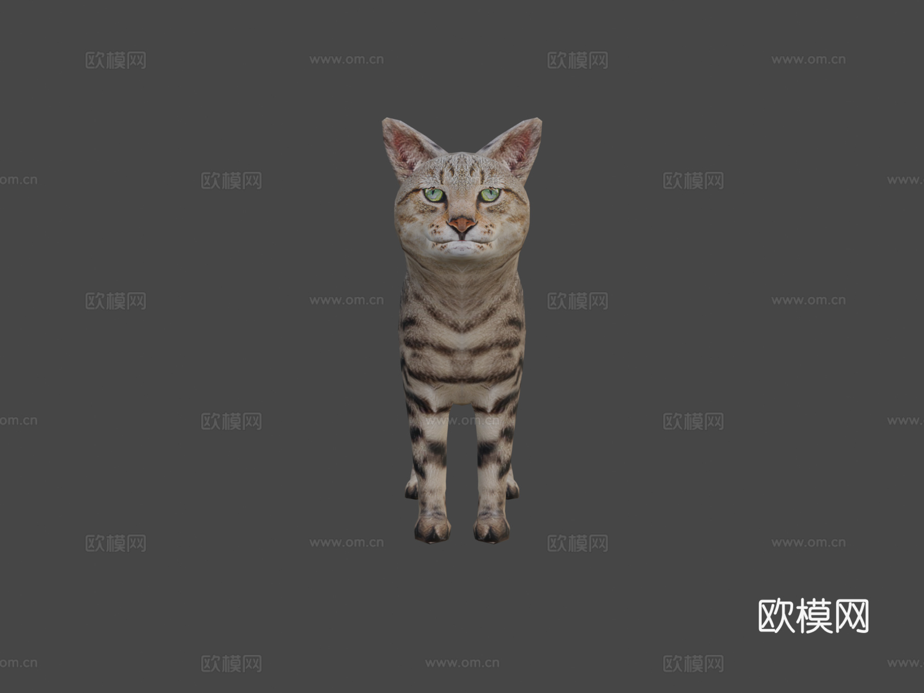 DRT-家养动物-猫3d模型