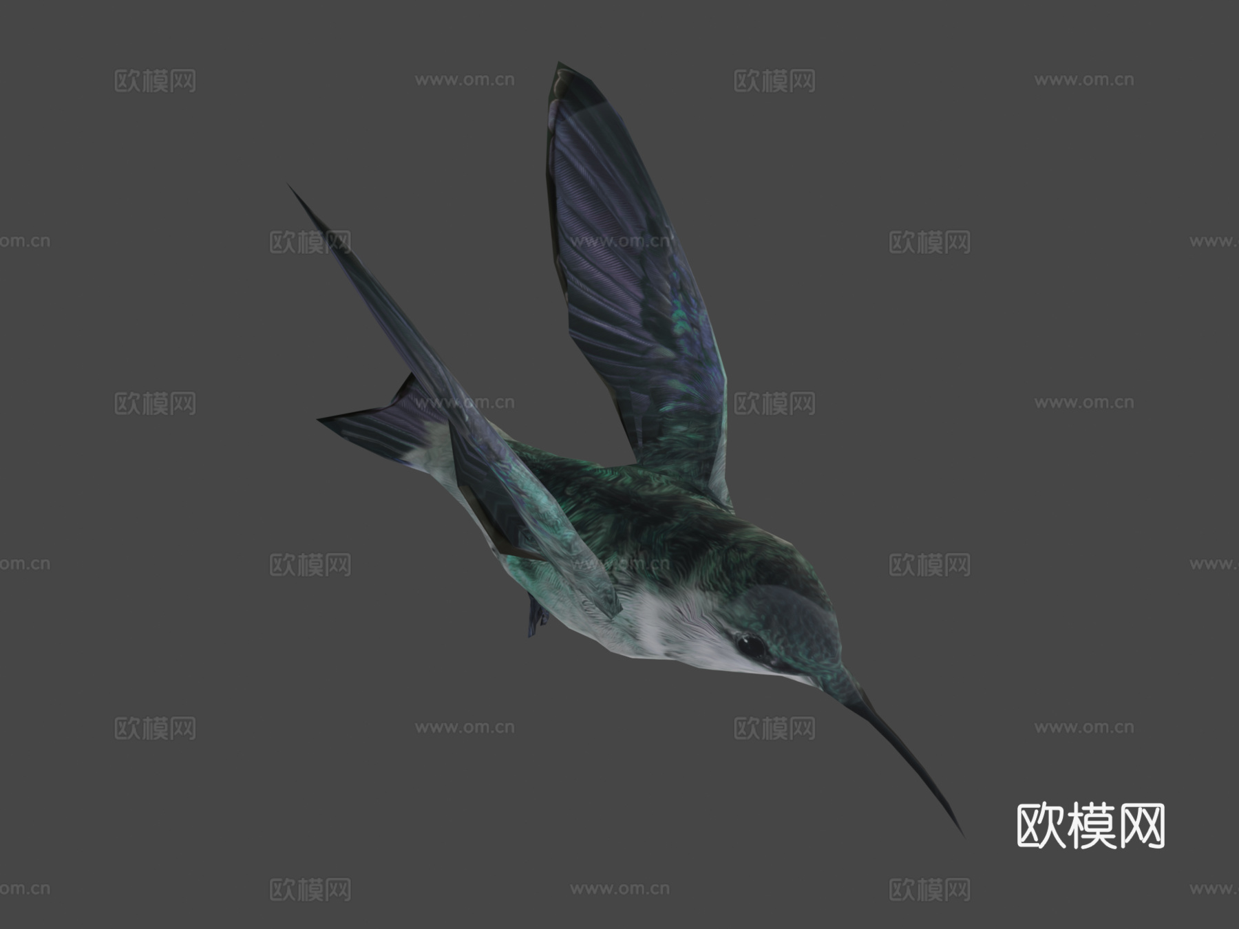 蜂鸟3d模型
